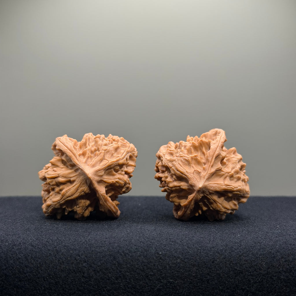 First Love Wenwan Walnut · 37mm · Natural · Entry Ritual
