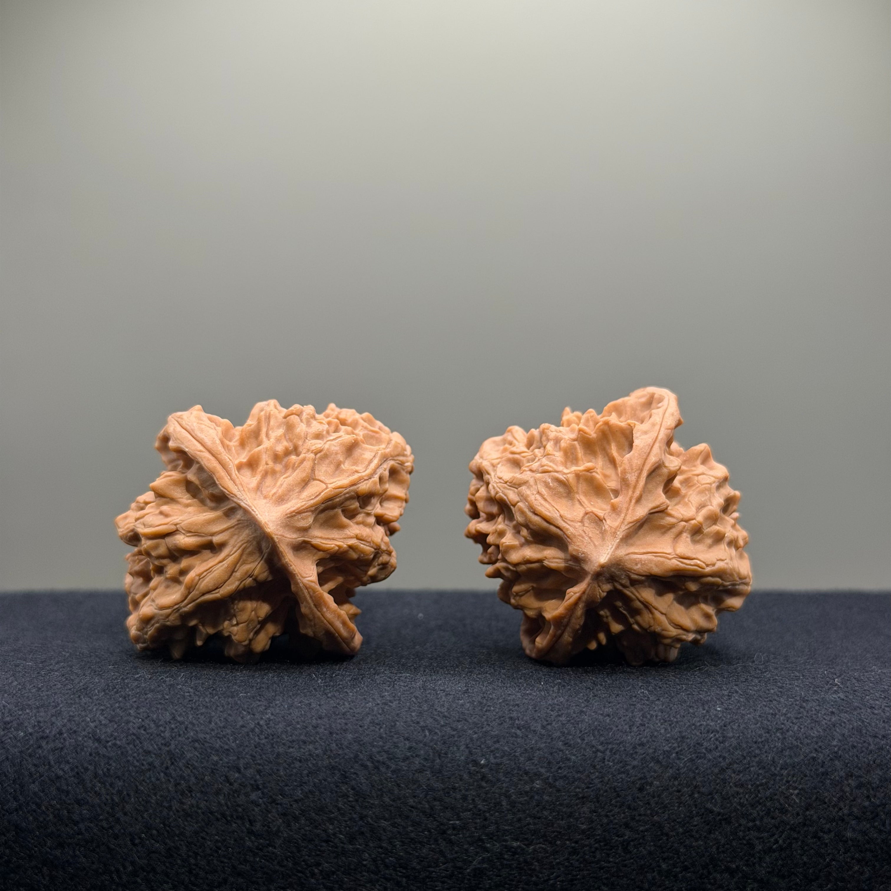 First Love Wenwan Walnut · 37mm · Natural · Entry Ritual