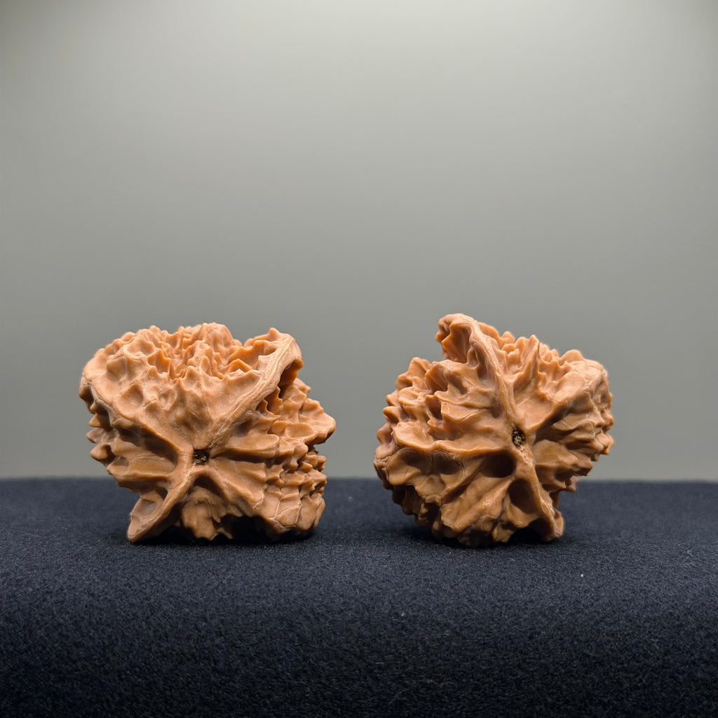 First Love Wenwan Walnut · 37mm · Natural · Entry Ritual