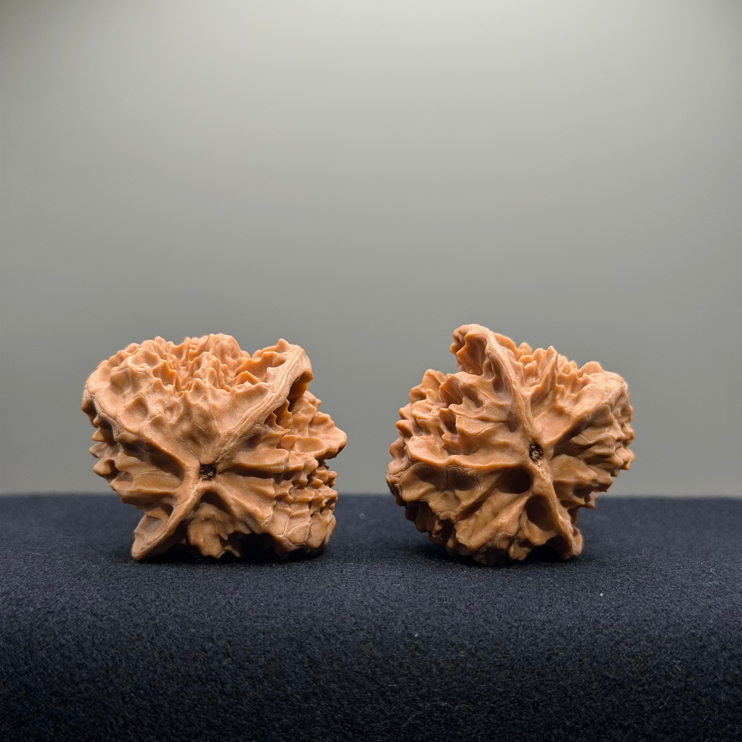 First Love Wenwan Walnut · 37mm · Natural · Entry Ritual