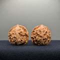 First Love Wenwan Walnut · 37mm · Natural · Entry Ritual