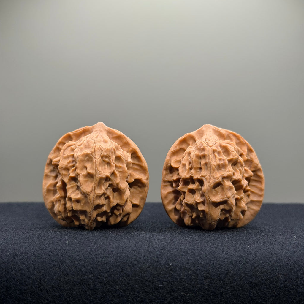 First Love Wenwan Walnut · 37mm · Natural · Entry Ritual
