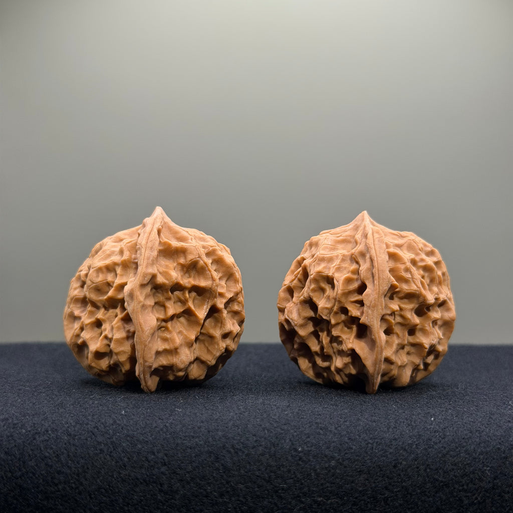 First Love Wenwan Walnut · 37mm · Natural · Entry Ritual