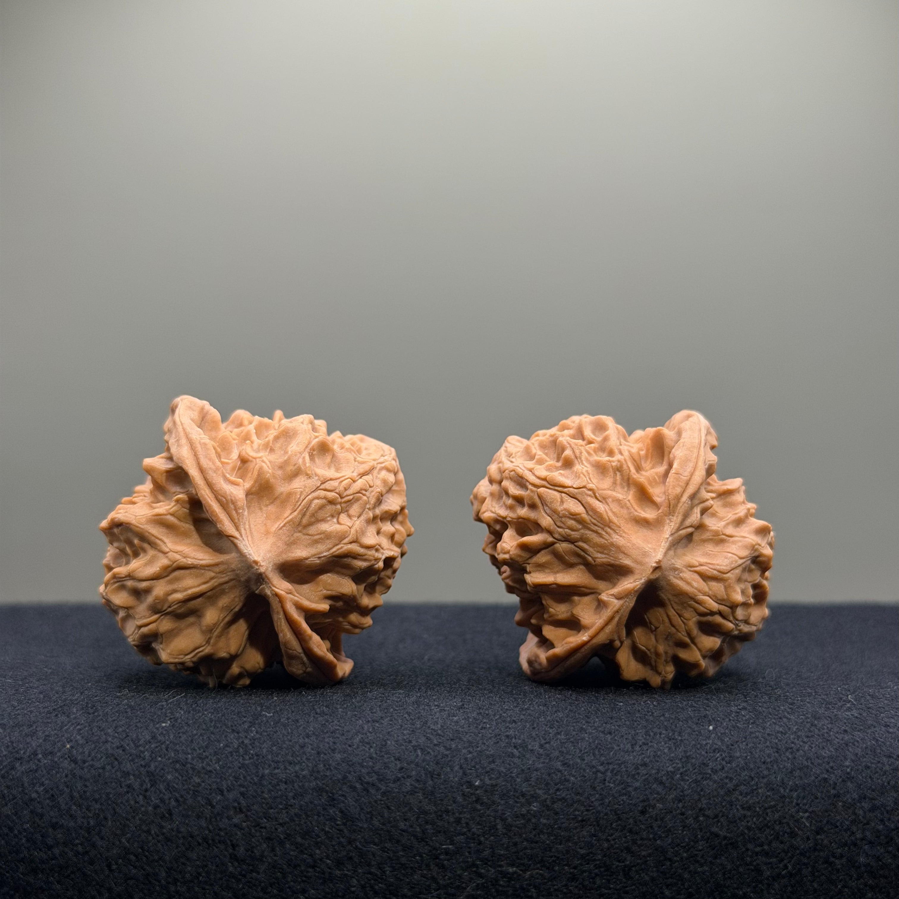 First Love Wenwan Walnut · 37mm · Natural · Entry Ritual