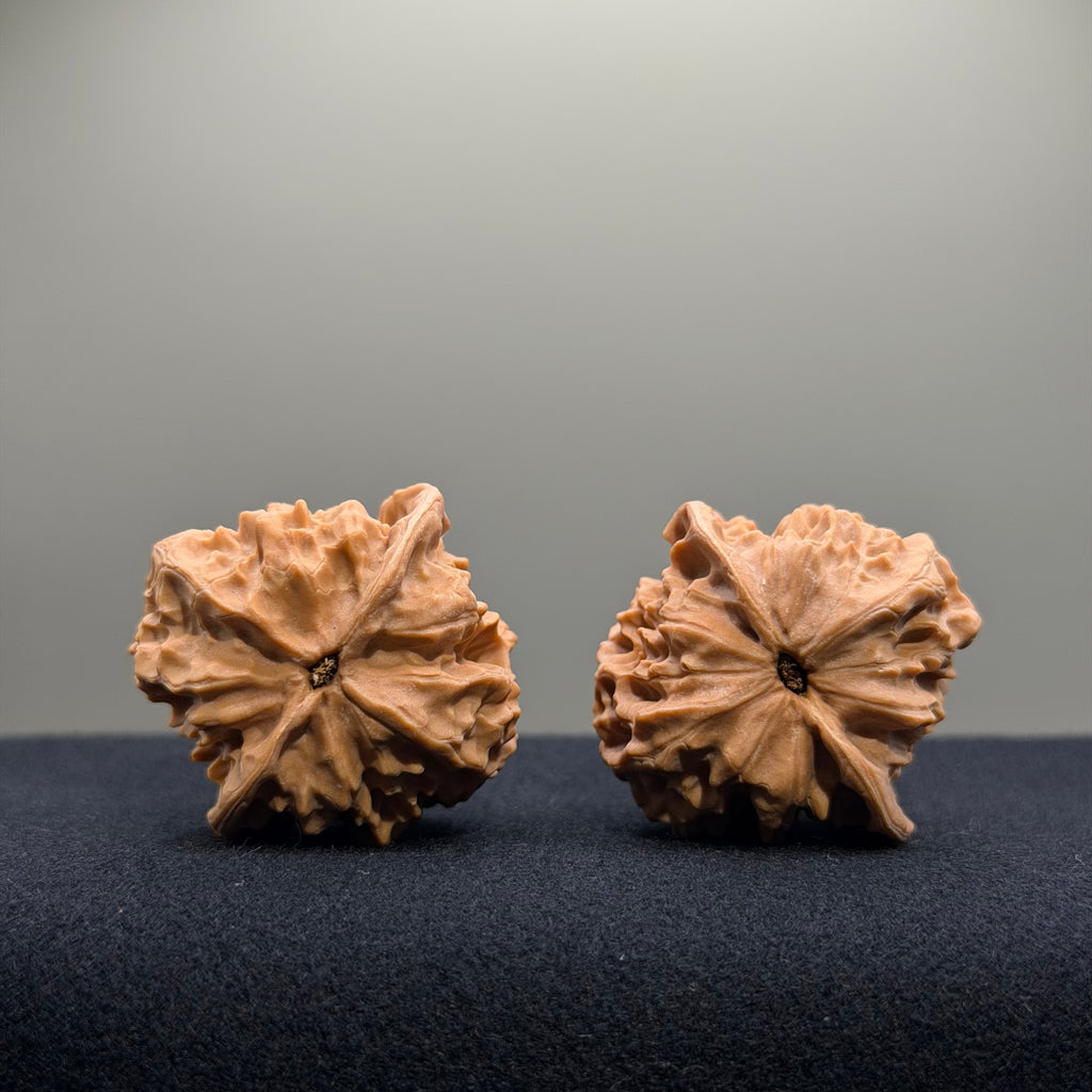 First Love Wenwan Walnut · 37mm · Natural · Entry Ritual