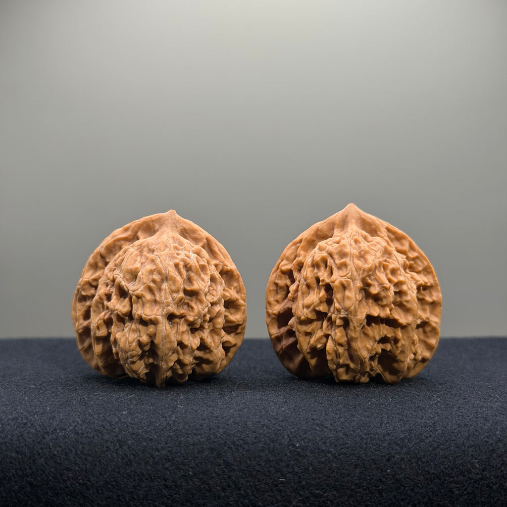 Coiled Dragon Tiger Head Wenwan Walnut · 37mm · Natural · Entry Ritual