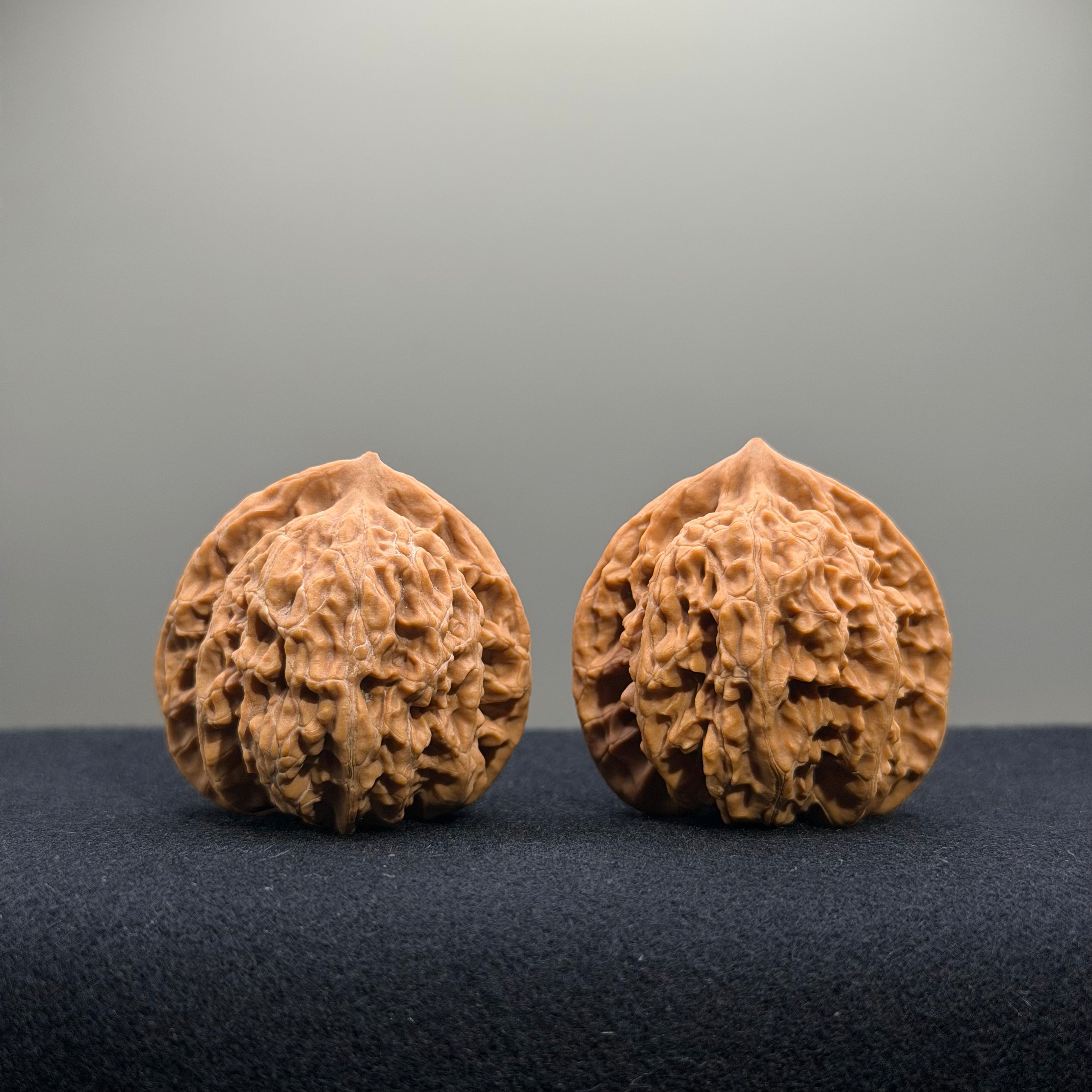 Coiled Dragon Tiger Head Wenwan Walnut · 37mm · Natural · Entry Ritual