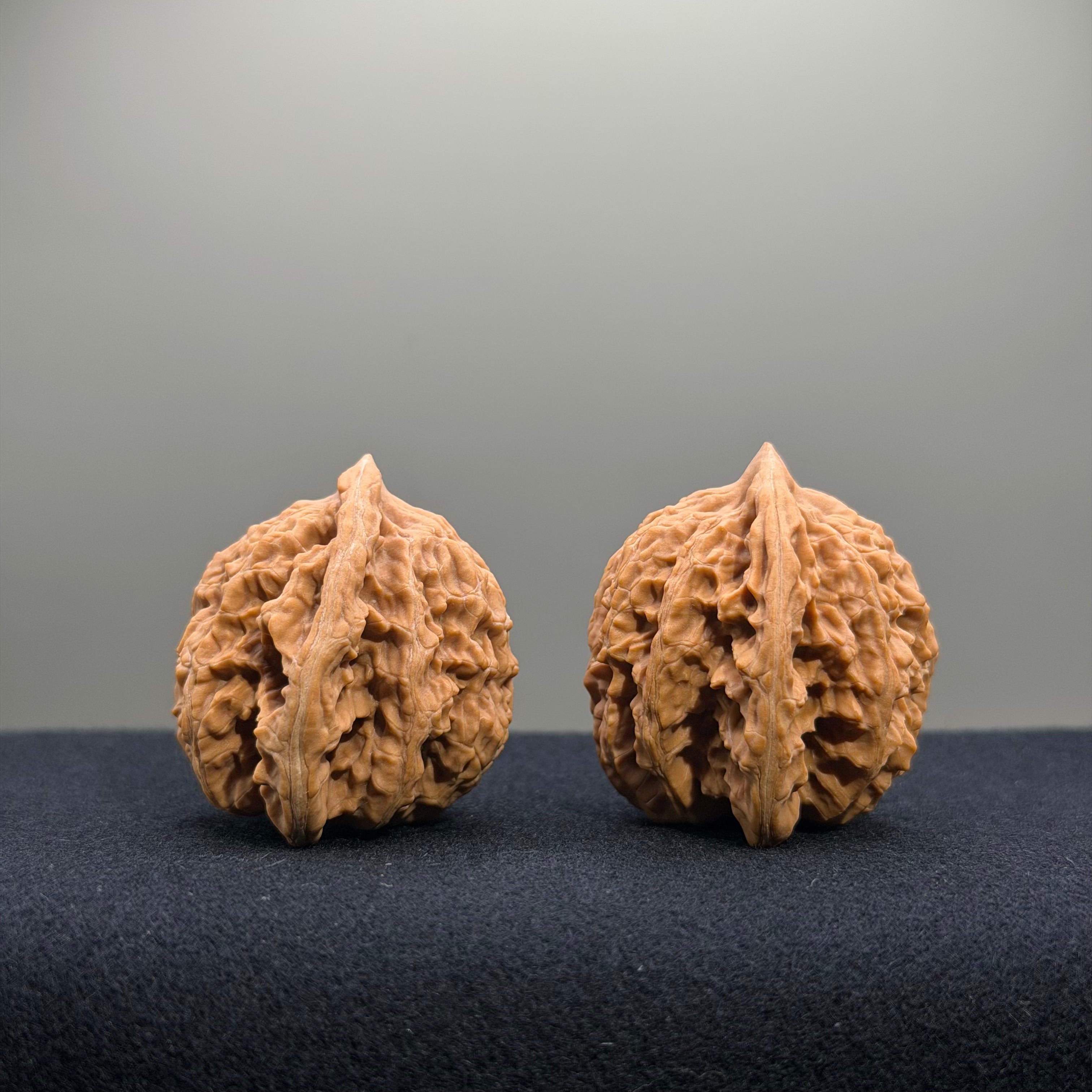 Coiled Dragon Tiger Head Wenwan Walnut · 37mm · Natural · Entry Ritual