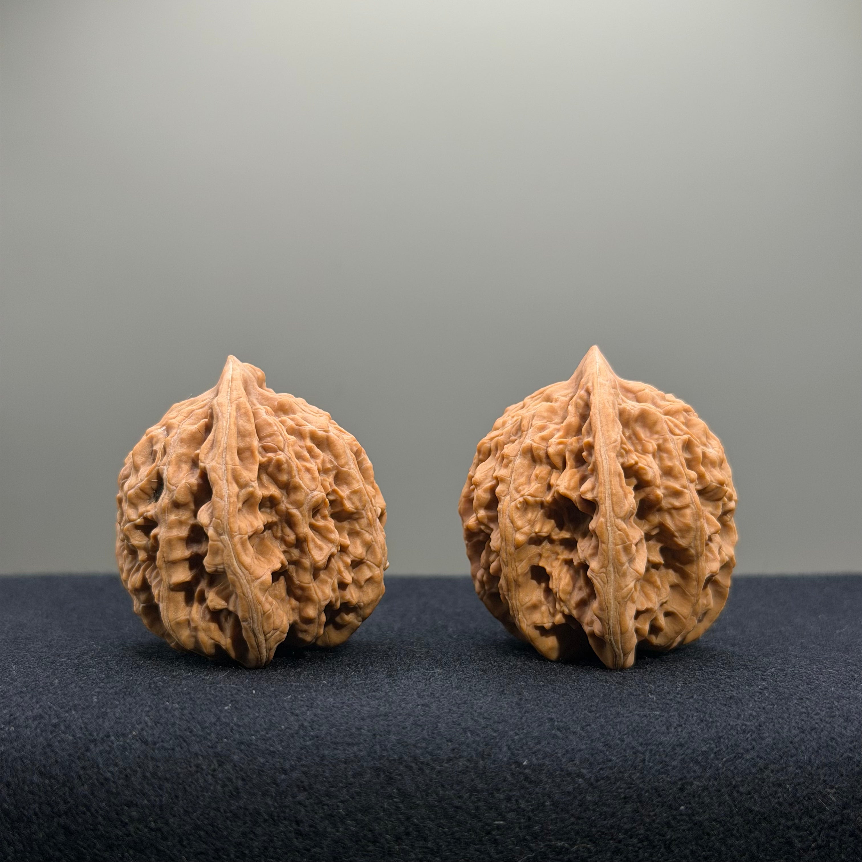 Coiled Dragon Tiger Head Wenwan Walnut · 37mm · Natural · Entry Ritual