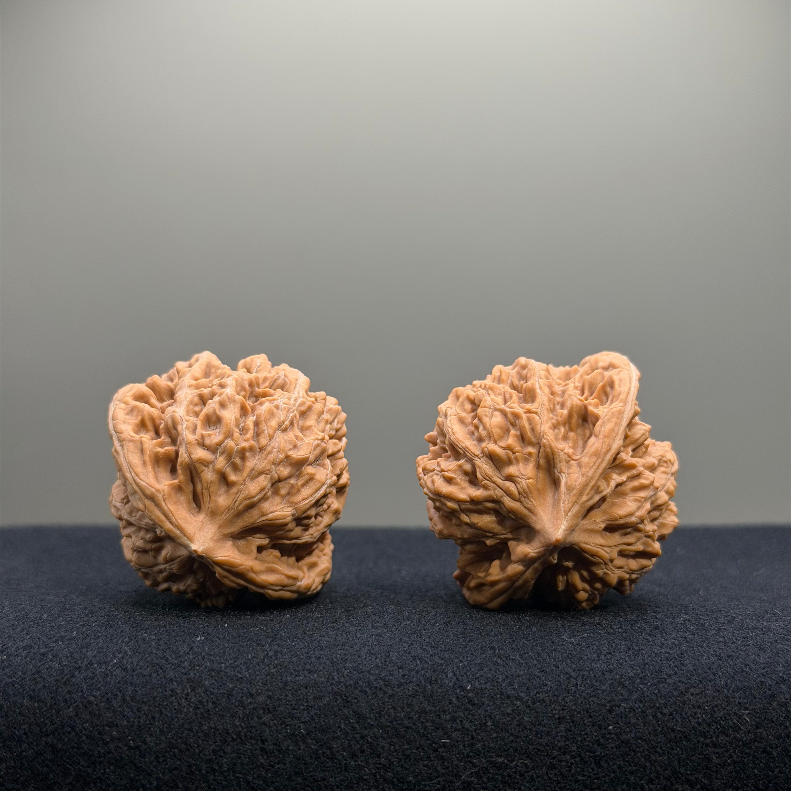 Coiled Dragon Tiger Head Wenwan Walnut · 37mm · Natural · Entry Ritual