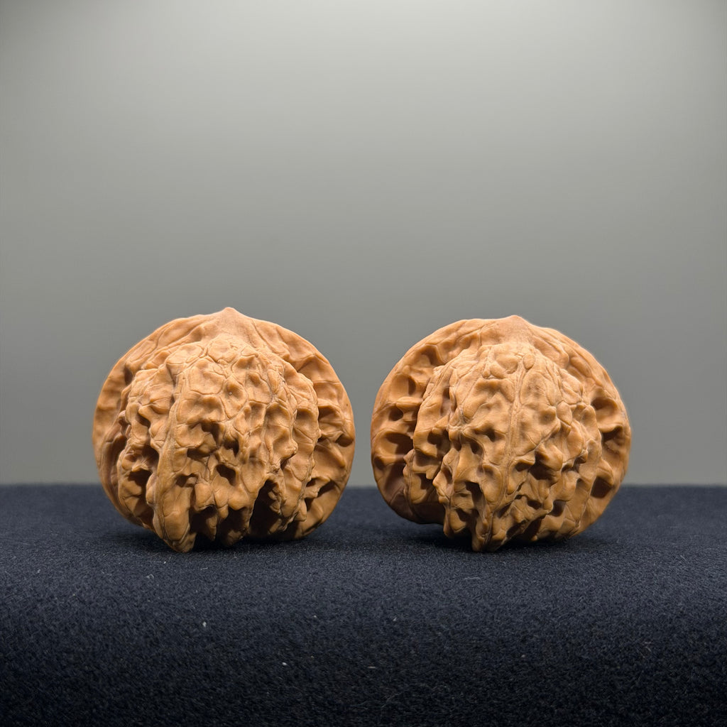 Coiled Dragon Tiger Head Wenwan Walnut · 39mm · Natural · Entry Ritual