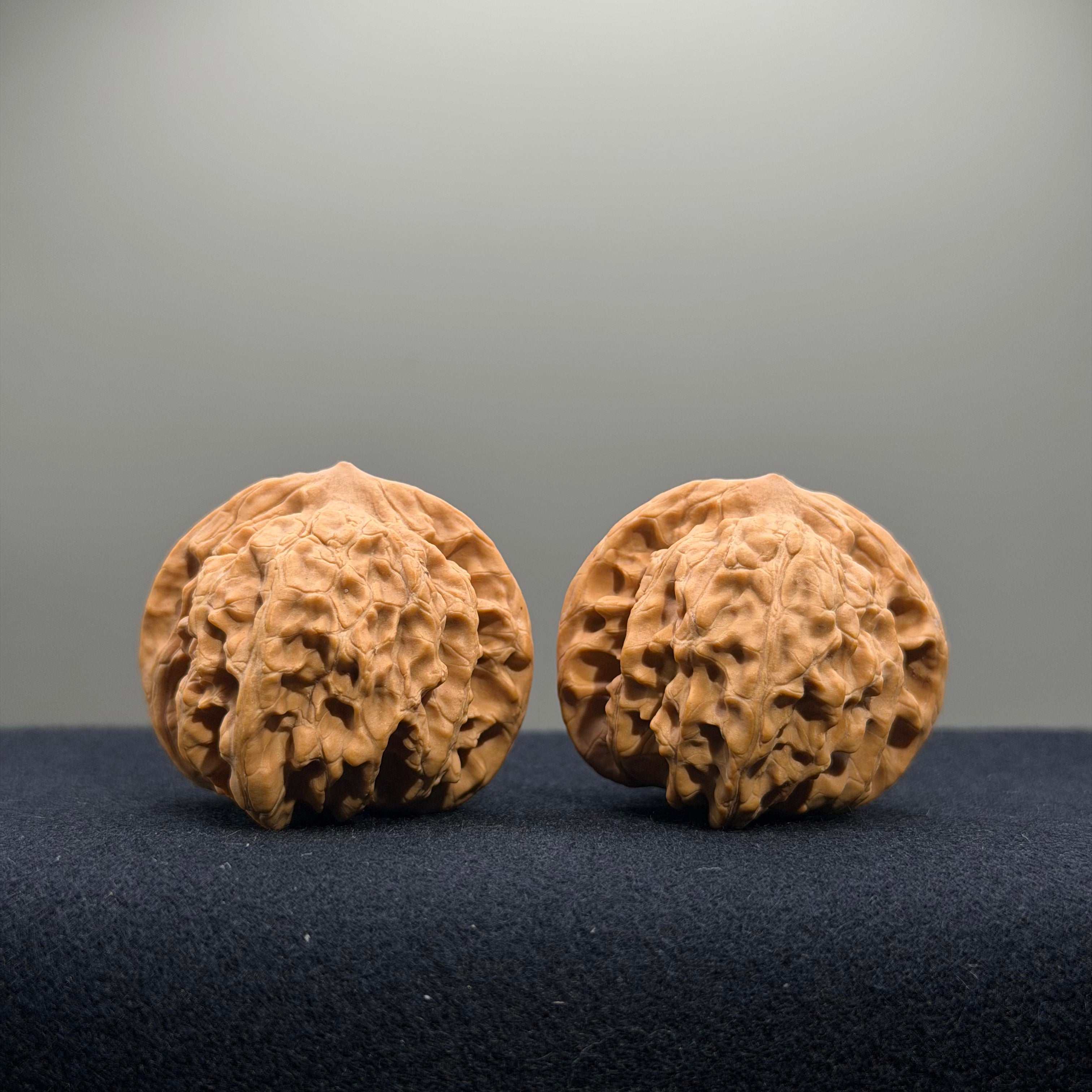 Coiled Dragon Tiger Head Wenwan Walnut · 39mm · Natural · Entry Ritual