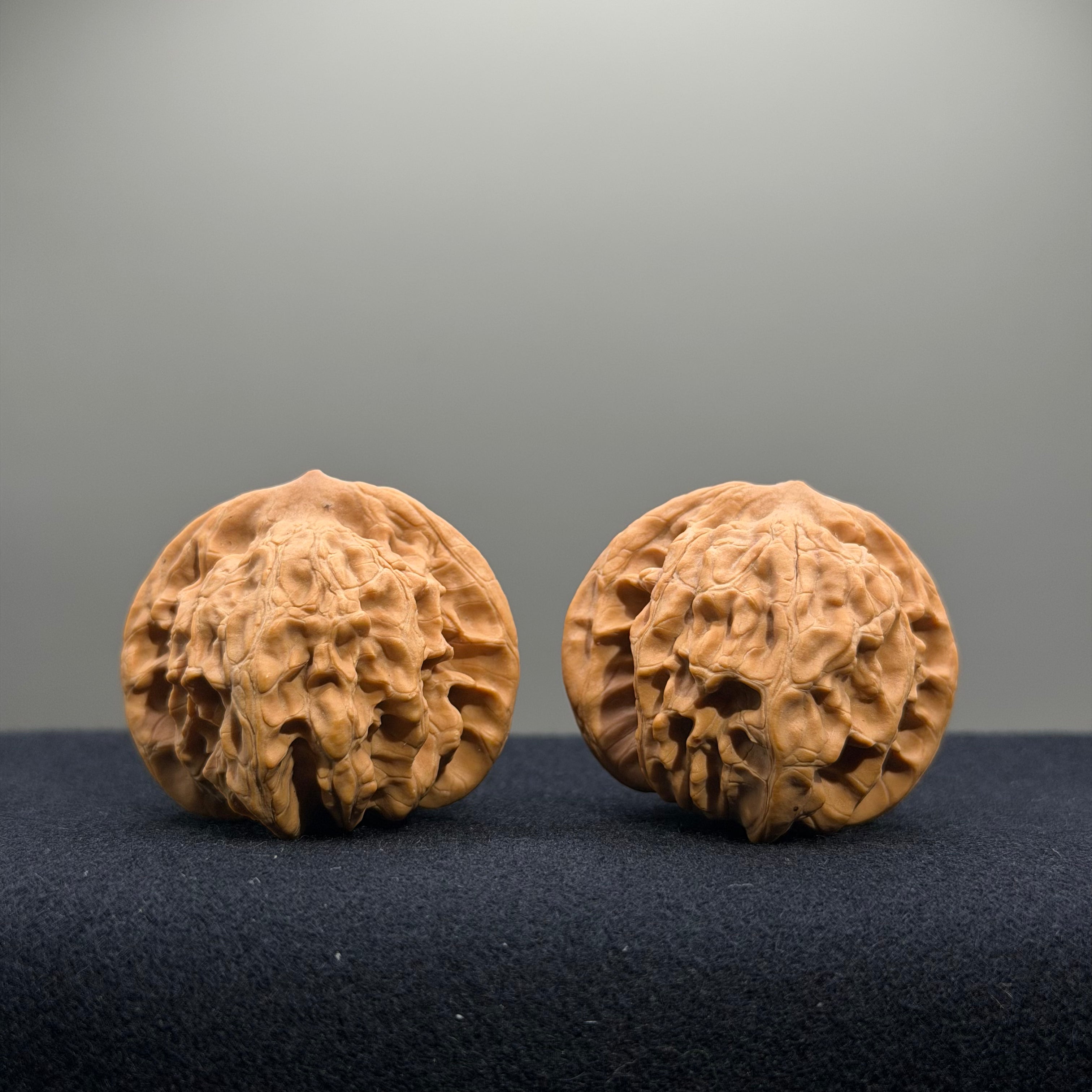 Coiled Dragon Tiger Head Wenwan Walnut · 39mm · Natural · Entry Ritual