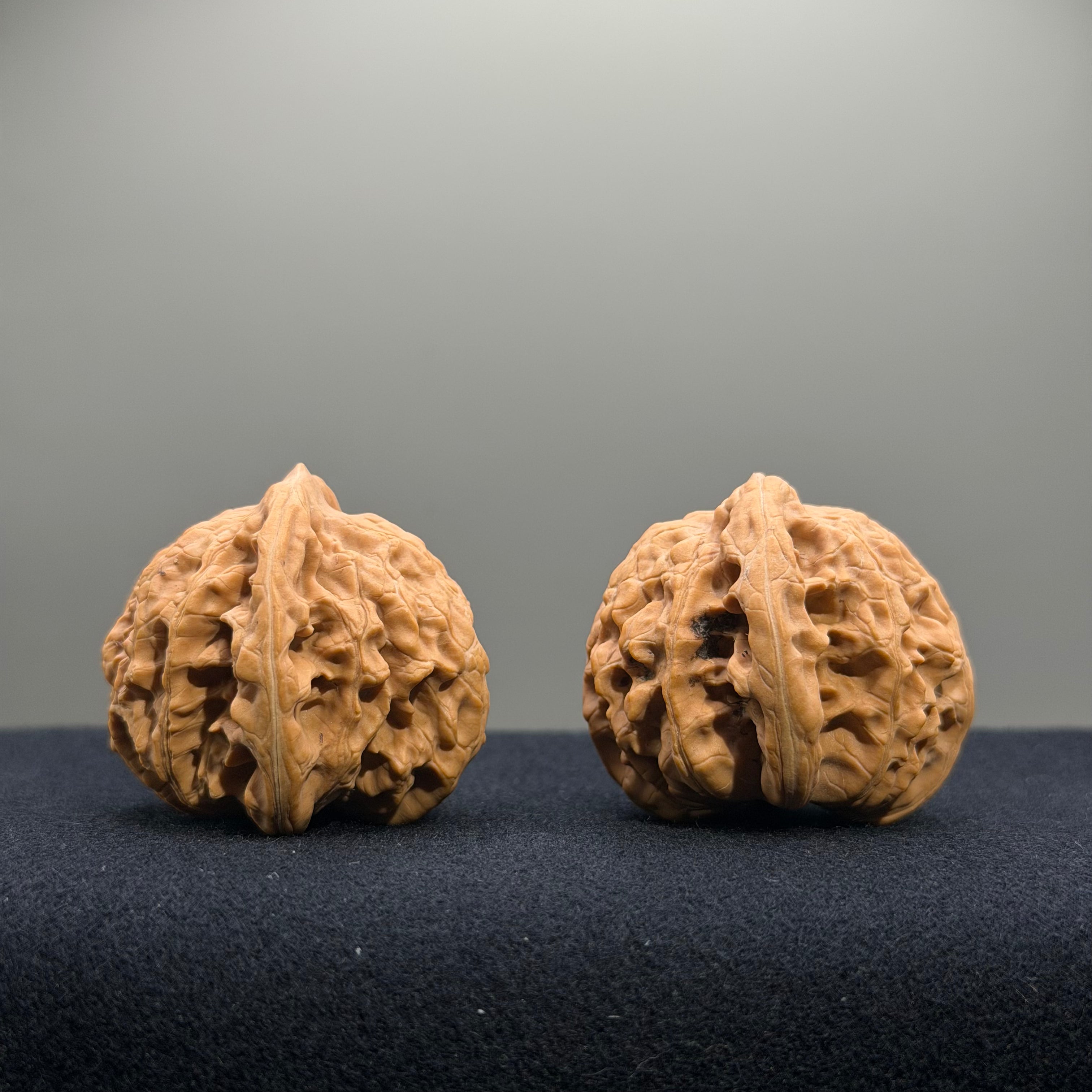 Coiled Dragon Tiger Head Wenwan Walnut · 39mm · Natural · Entry Ritual