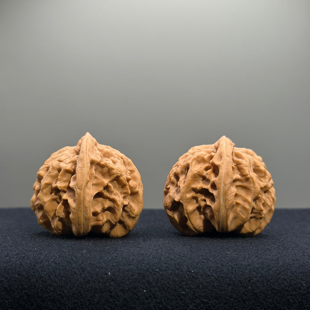 Coiled Dragon Tiger Head Wenwan Walnut · 39mm · Natural · Entry Ritual