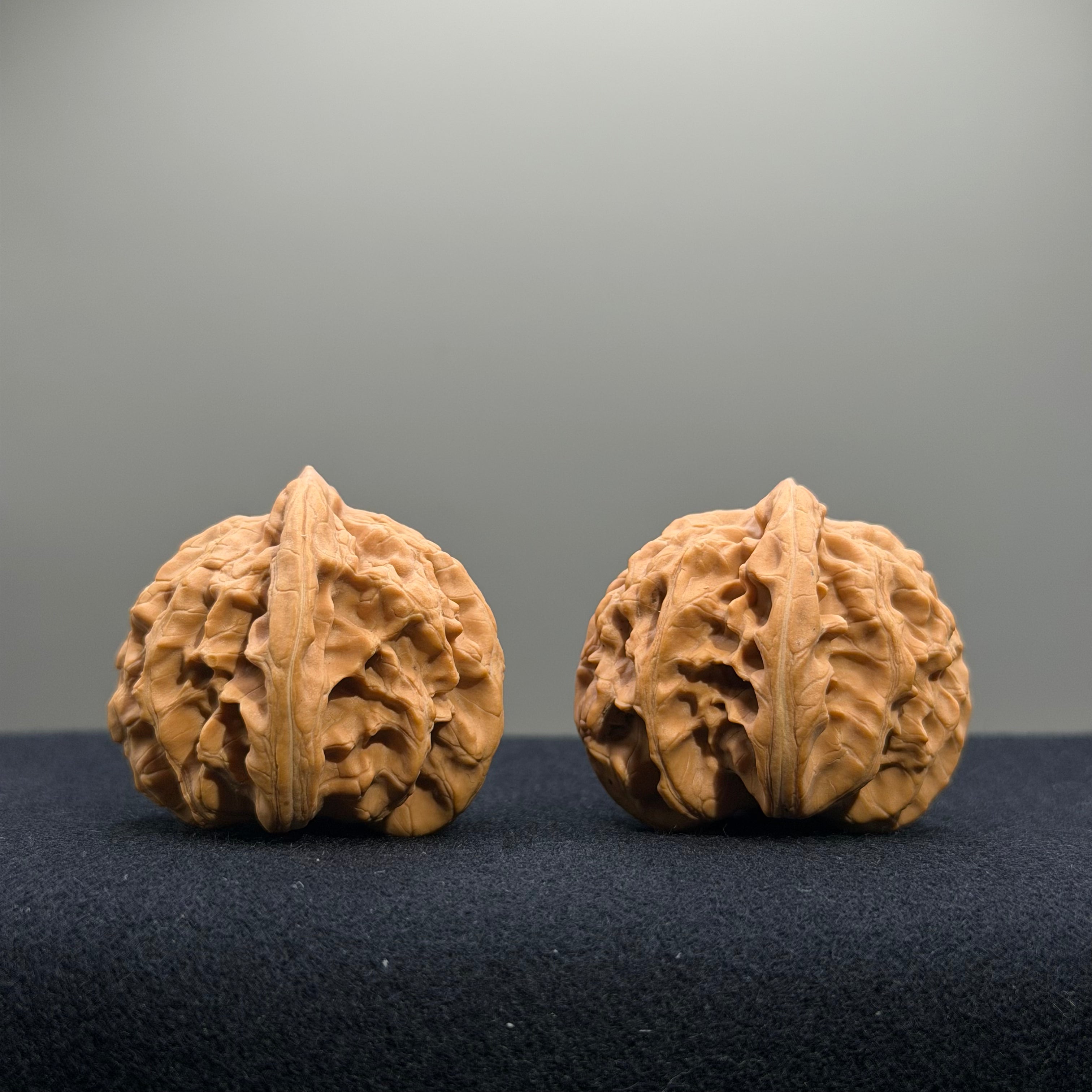 Coiled Dragon Tiger Head Wenwan Walnut · 39mm · Natural · Entry Ritual