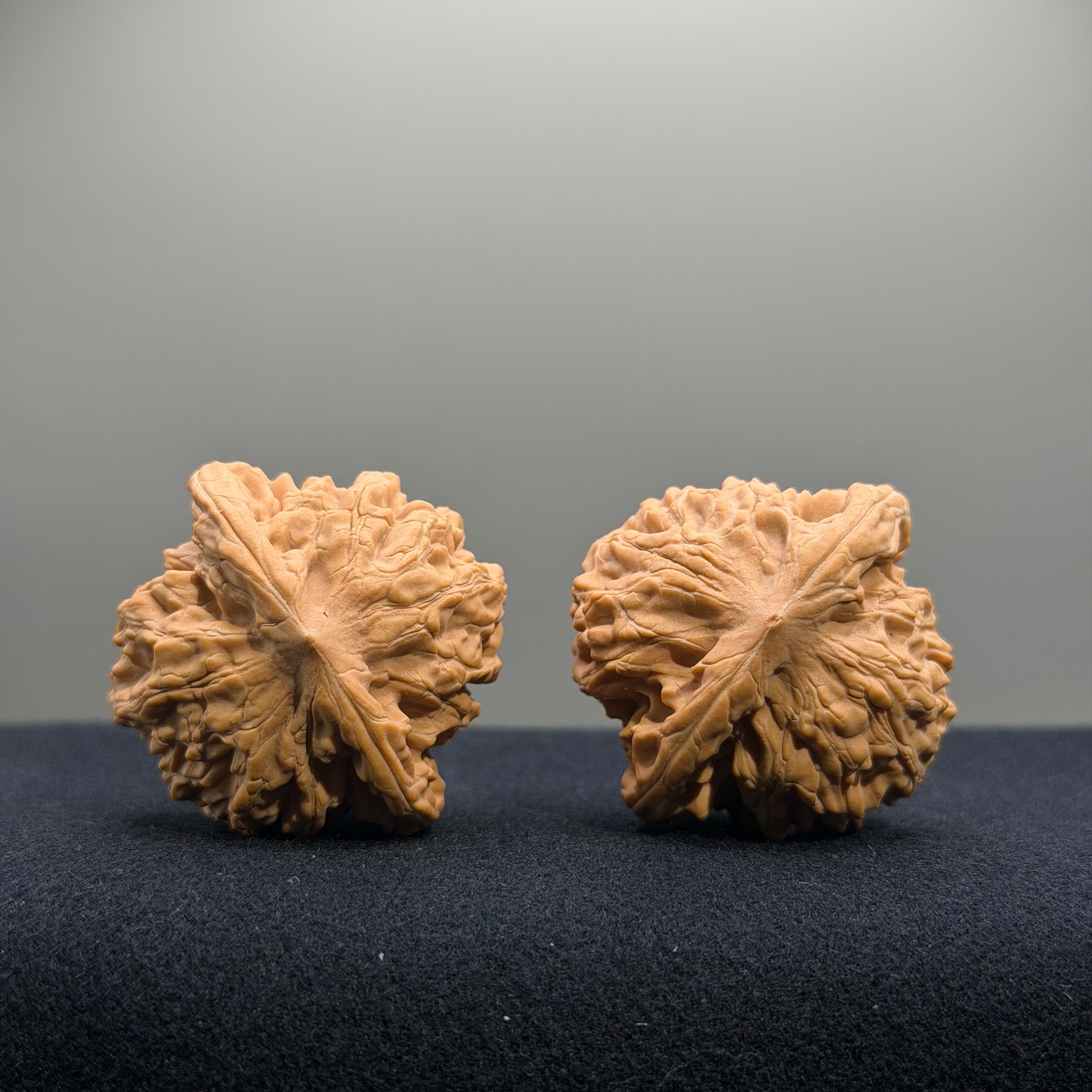 Coiled Dragon Tiger Head Wenwan Walnut · 39mm · Natural · Entry Ritual
