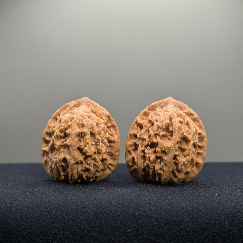 Coiled Dragon Tiger Head Wenwan Walnut · 35mm · Natural · Entry Ritual
