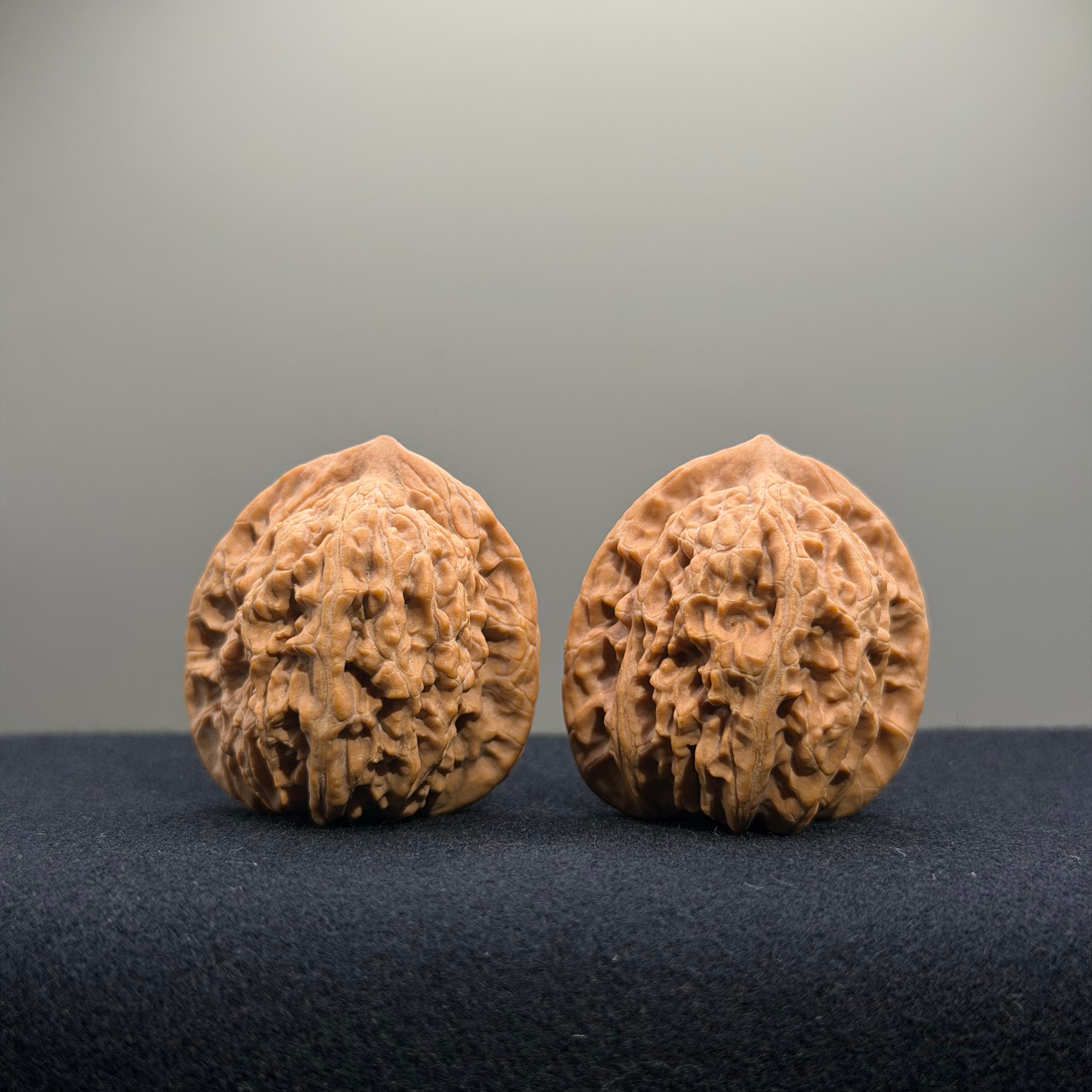 Coiled Dragon Tiger Head Wenwan Walnut · 35mm · Natural · Entry Ritual