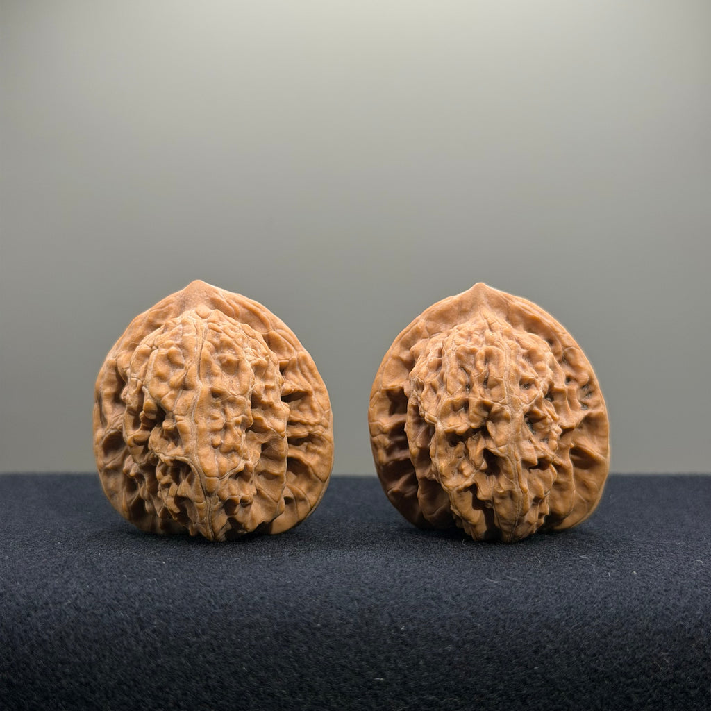 Coiled Dragon Tiger Head Wenwan Walnut · 35mm · Natural · Entry Ritual