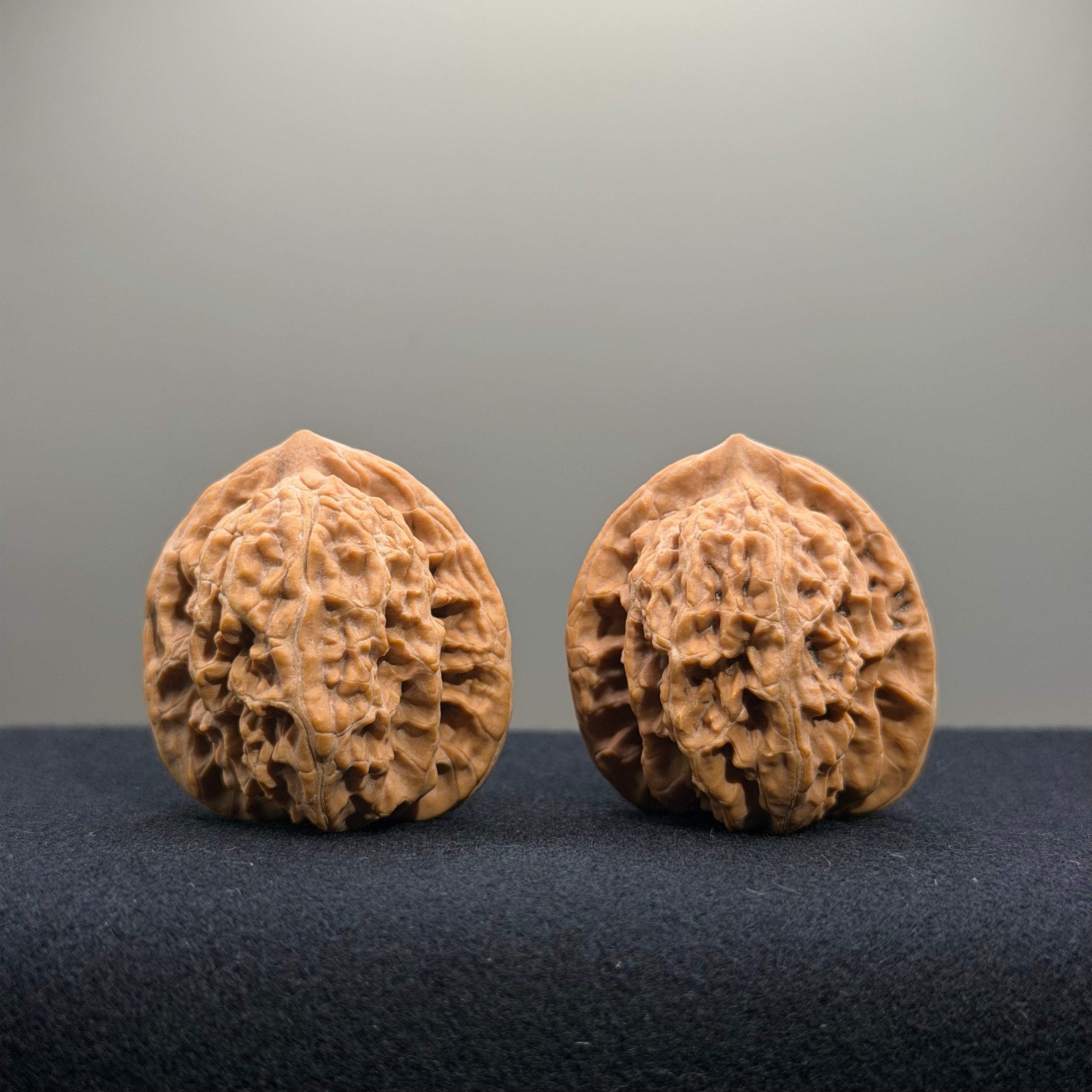 Coiled Dragon Tiger Head Wenwan Walnut · 35mm · Natural · Entry Ritual