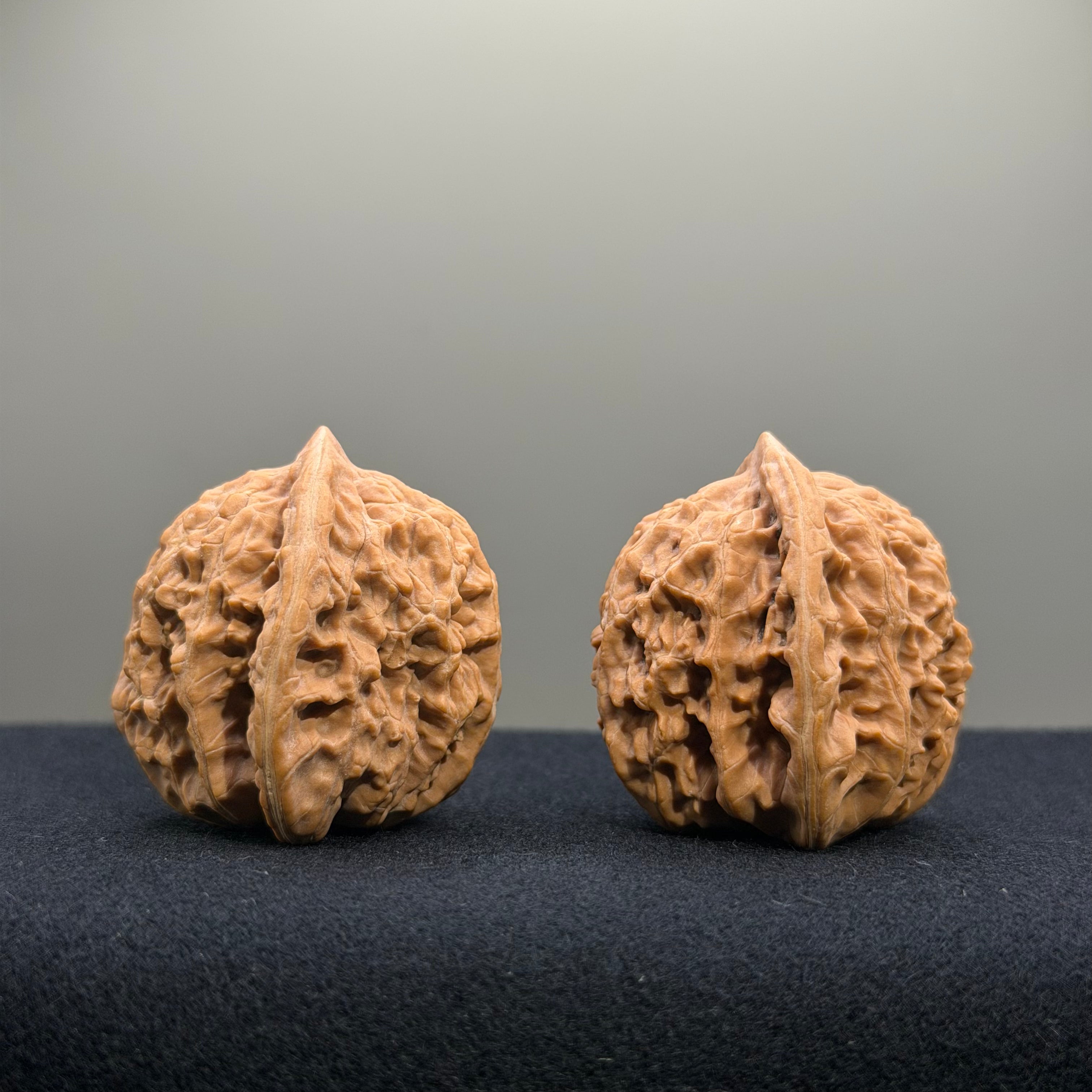 Coiled Dragon Tiger Head Wenwan Walnut · 35mm · Natural · Entry Ritual