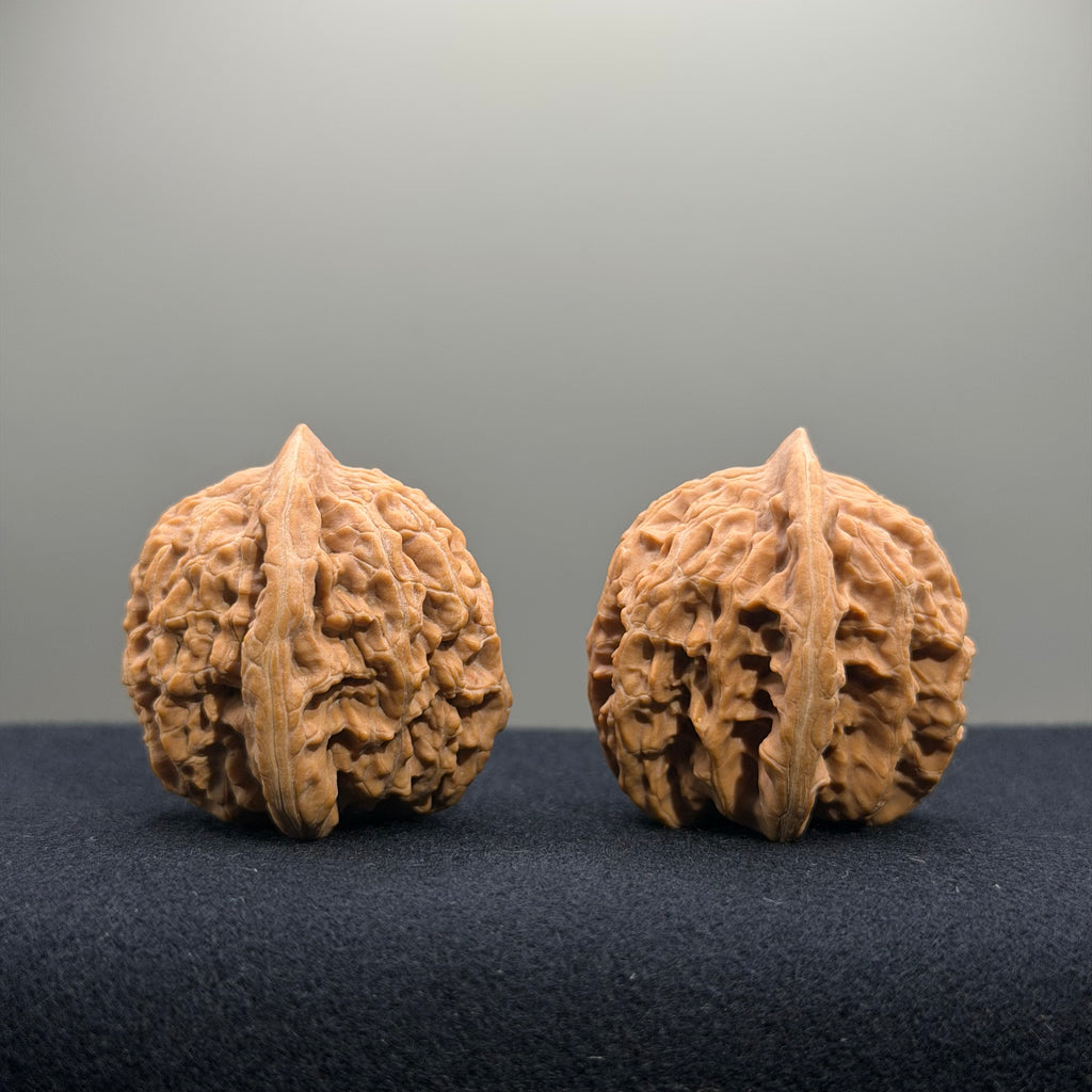Coiled Dragon Tiger Head Wenwan Walnut · 35mm · Natural · Entry Ritual