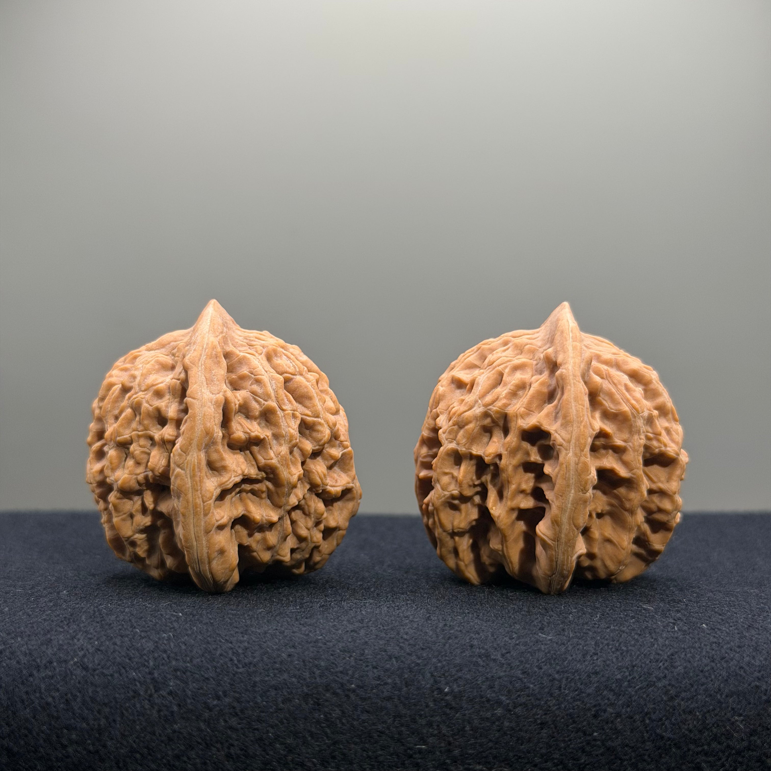 Coiled Dragon Tiger Head Wenwan Walnut · 35mm · Natural · Entry Ritual