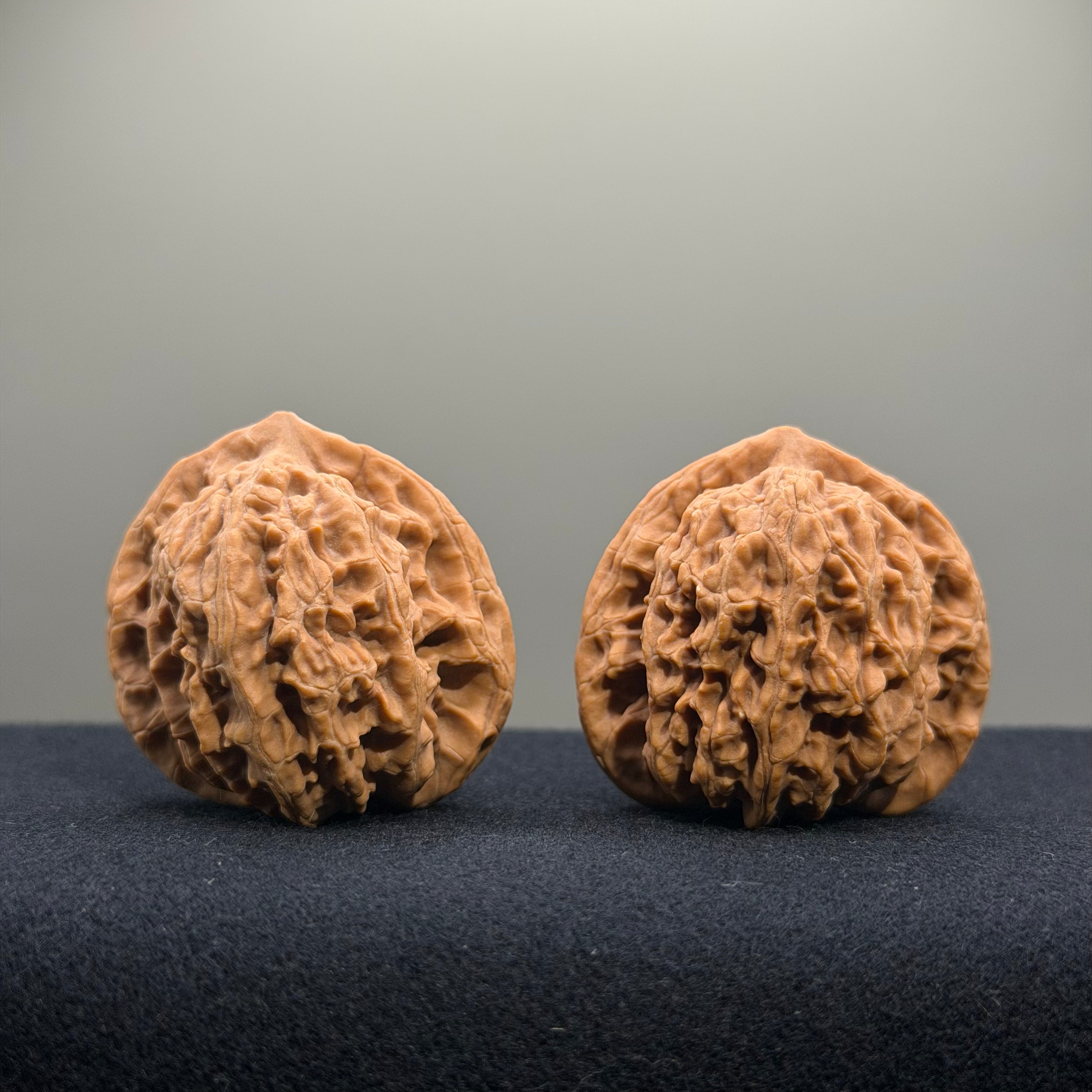 Coiled Dragon Tiger Head Wenwan Walnut · 40mm · Natural · Entry Ritual
