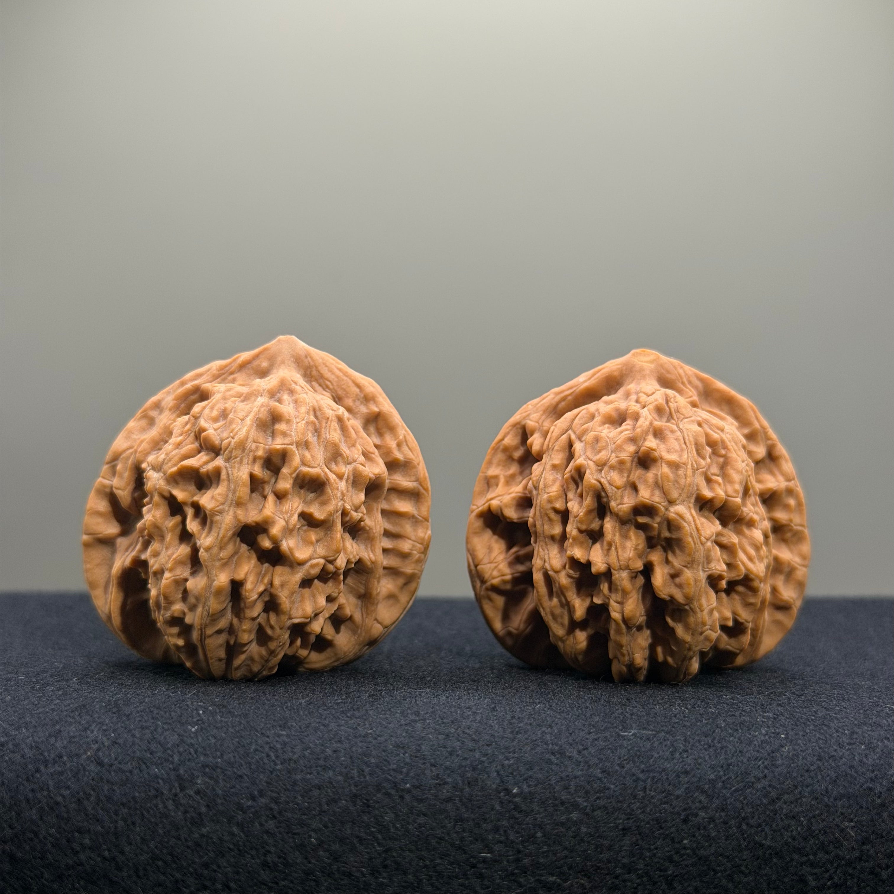 Coiled Dragon Tiger Head Wenwan Walnut · 40mm · Natural · Entry Ritual