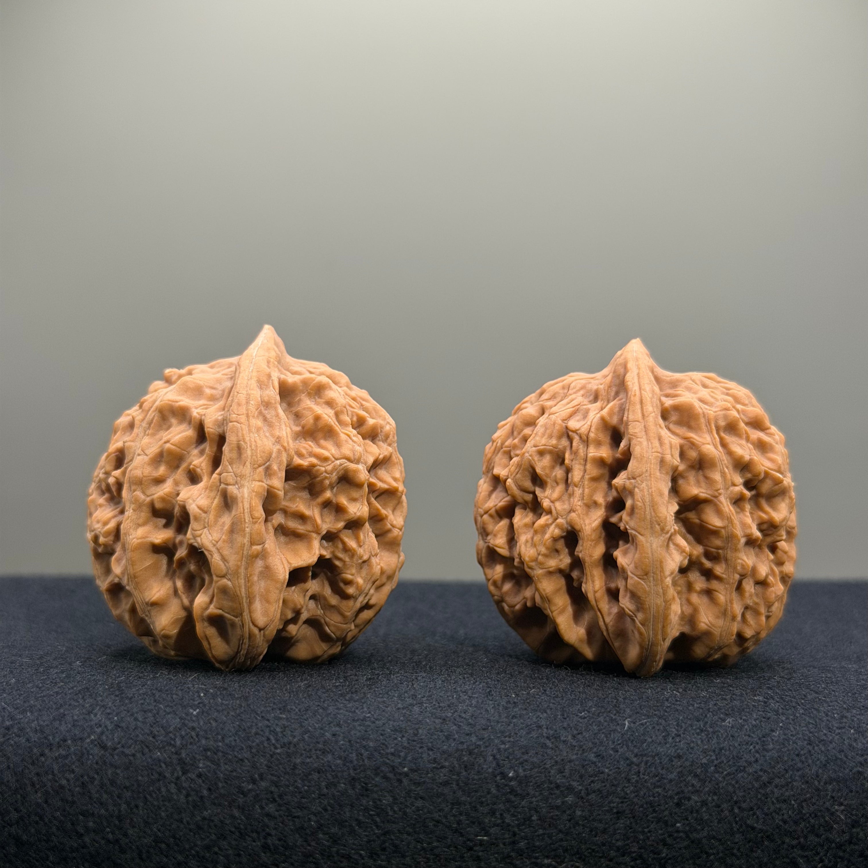 Coiled Dragon Tiger Head Wenwan Walnut · 40mm · Natural · Entry Ritual