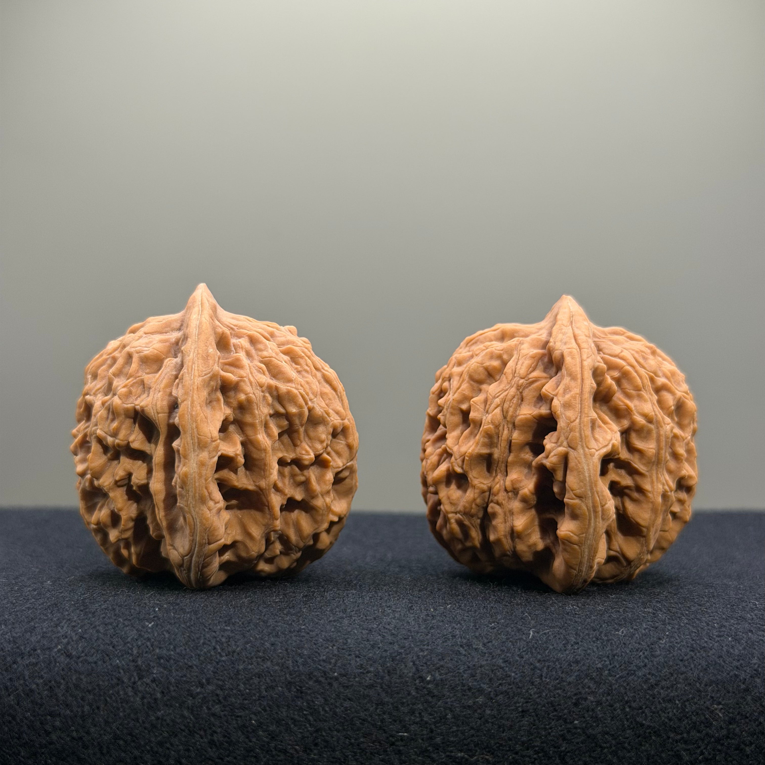 Coiled Dragon Tiger Head Wenwan Walnut · 40mm · Natural · Entry Ritual