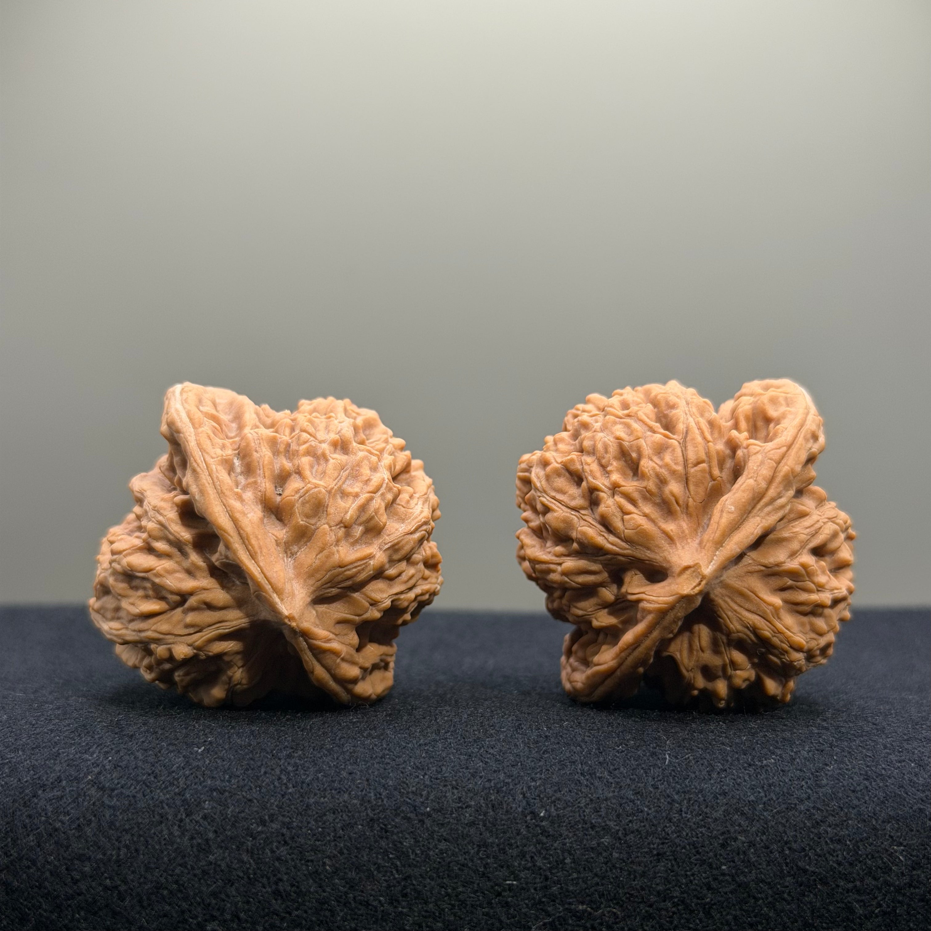 Coiled Dragon Tiger Head Wenwan Walnut · 40mm · Natural · Entry Ritual