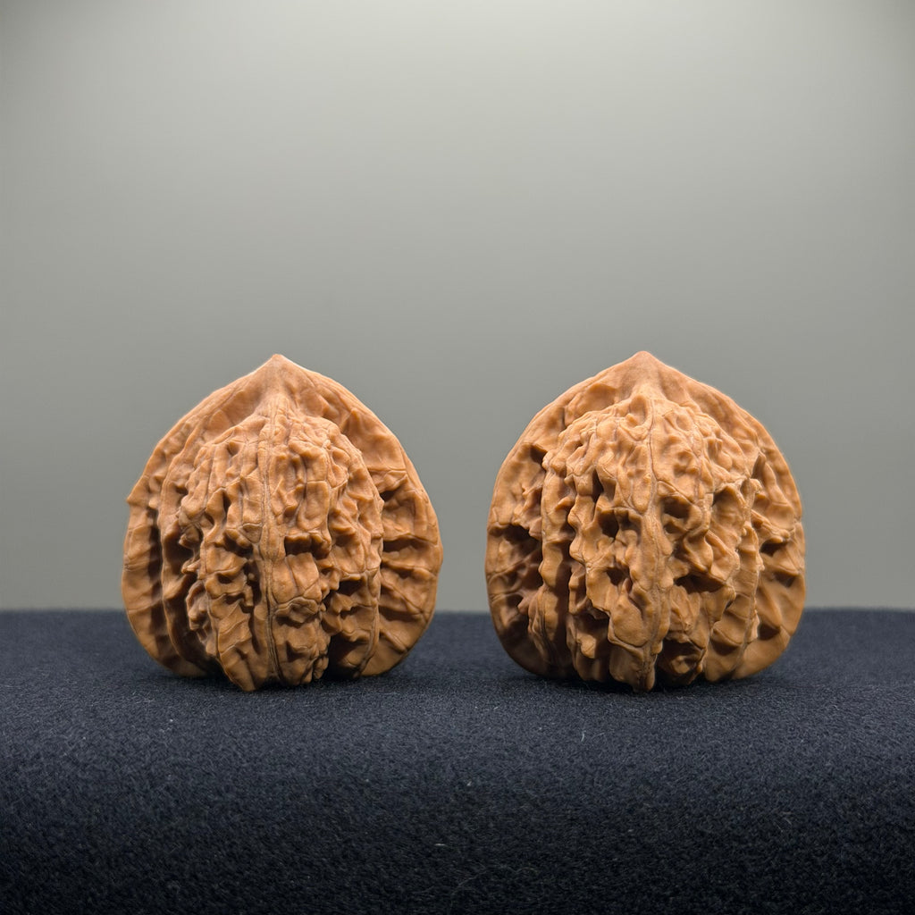 Coiled Dragon Tiger Head Wenwan Walnut · 38mm · Natural · Entry Ritual