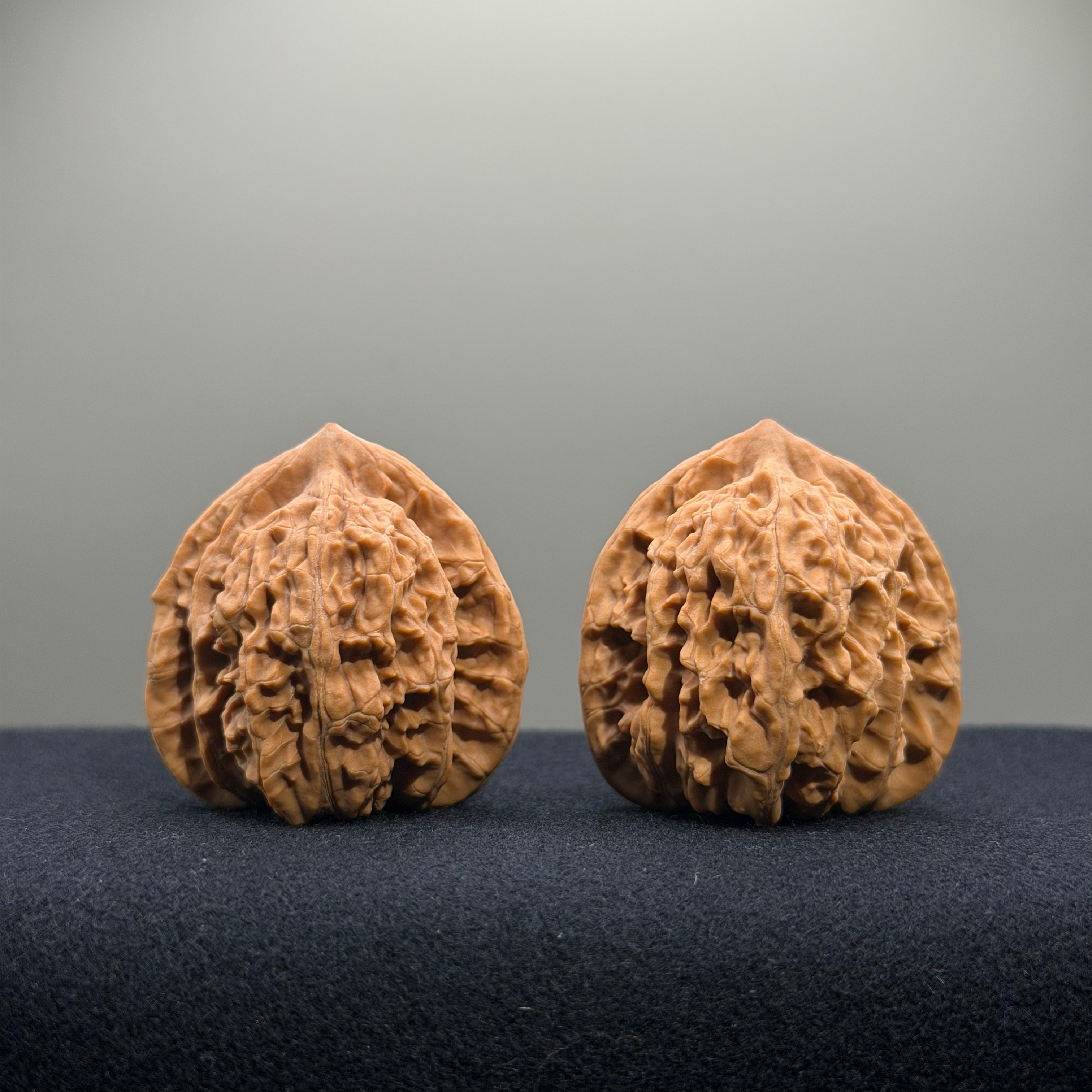 Coiled Dragon Tiger Head Wenwan Walnut · 38mm · Natural · Entry Ritual