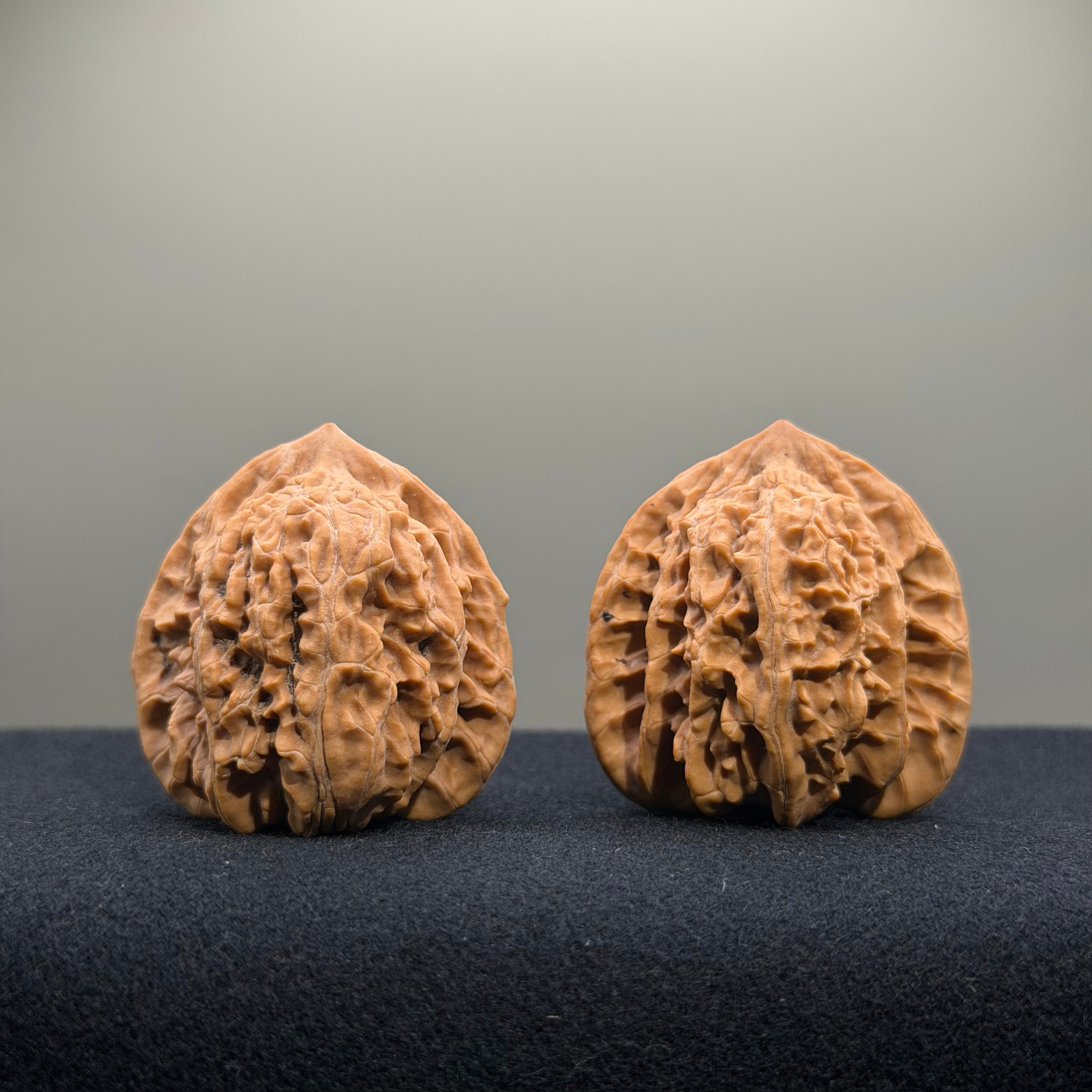 Coiled Dragon Tiger Head Wenwan Walnut · 38mm · Natural · Entry Ritual
