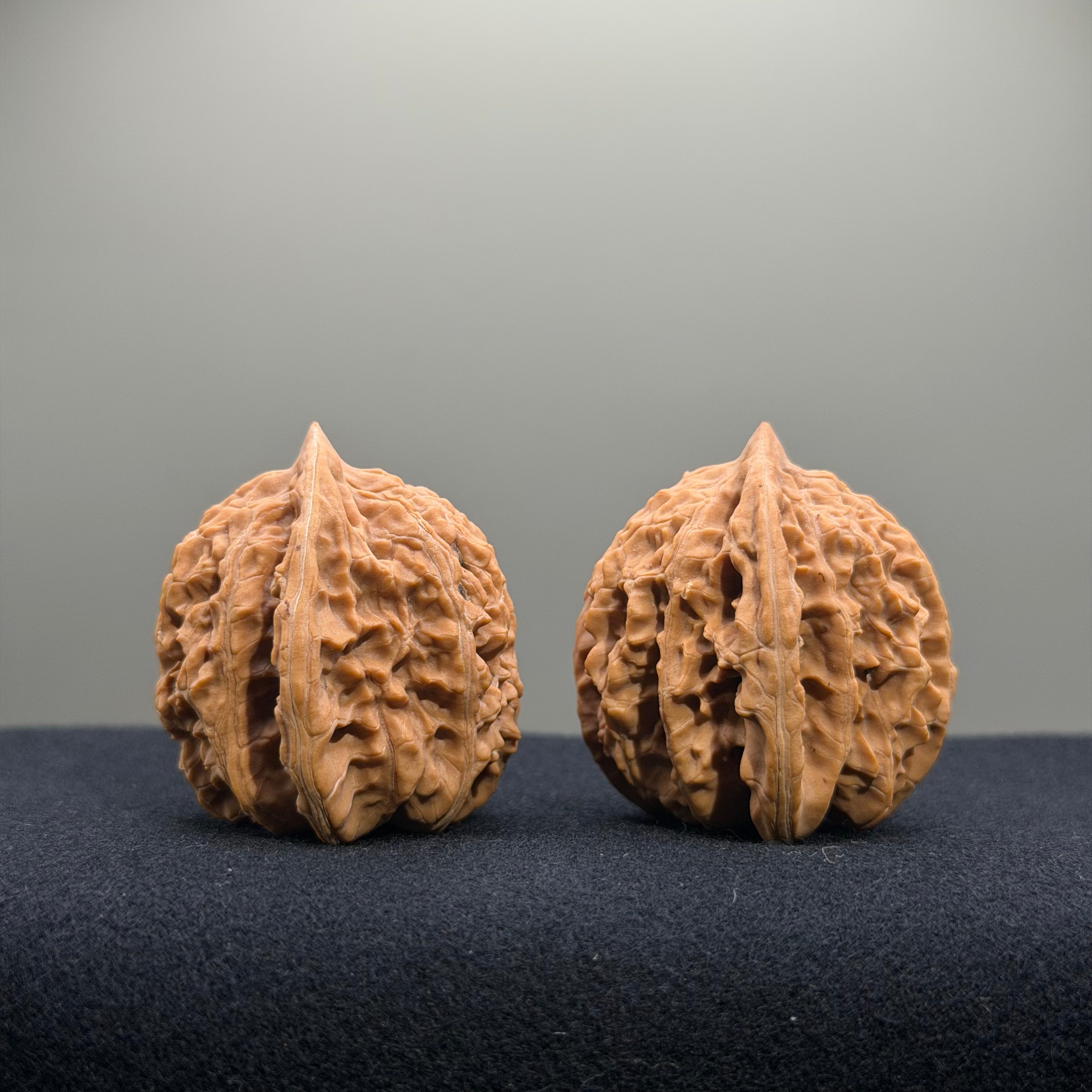 Coiled Dragon Tiger Head Wenwan Walnut · 38mm · Natural · Entry Ritual