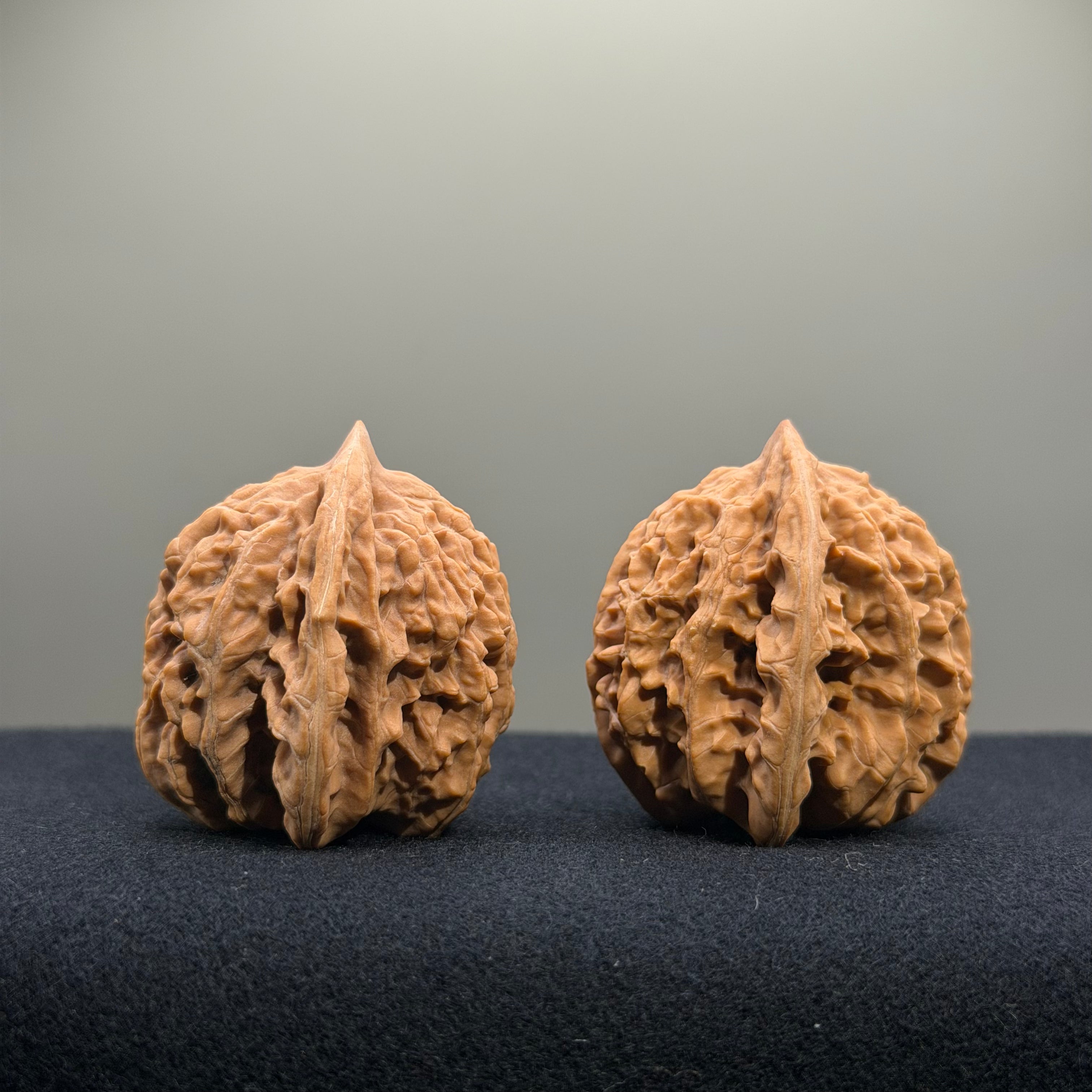 Coiled Dragon Tiger Head Wenwan Walnut · 38mm · Natural · Entry Ritual