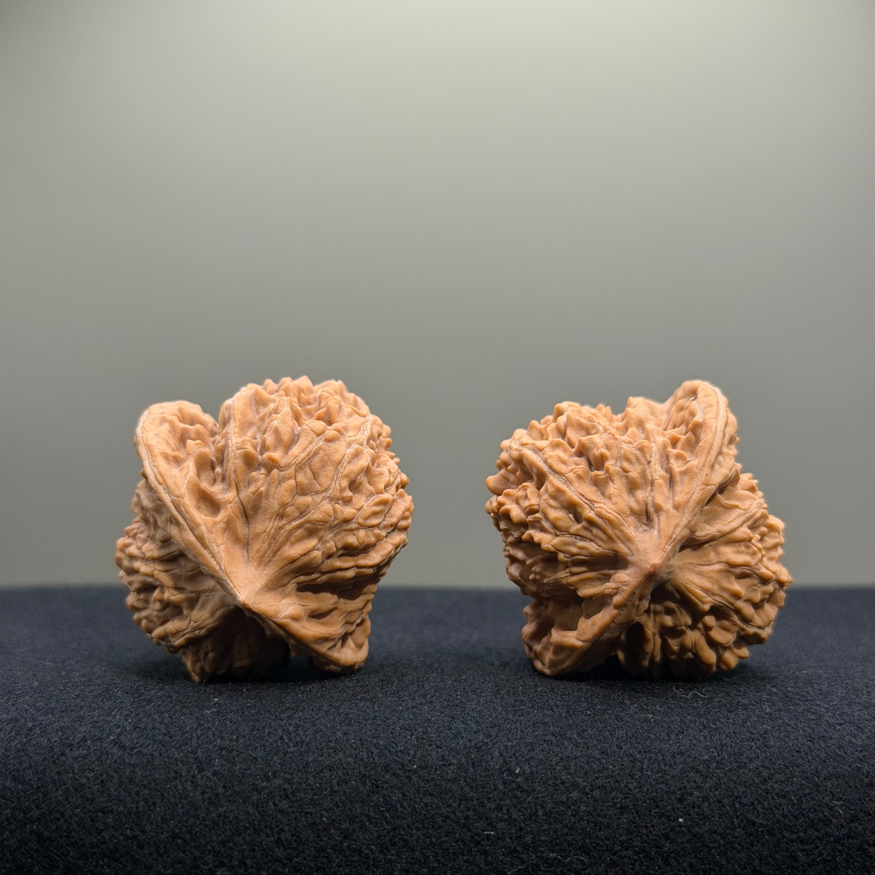 Coiled Dragon Tiger Head Wenwan Walnut · 38mm · Natural · Entry Ritual