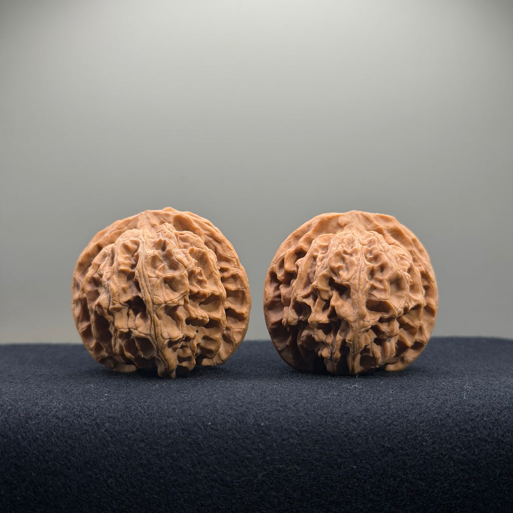 Apple Orchard Wenwan Walnut · 41mm · Natural · Select Ritual