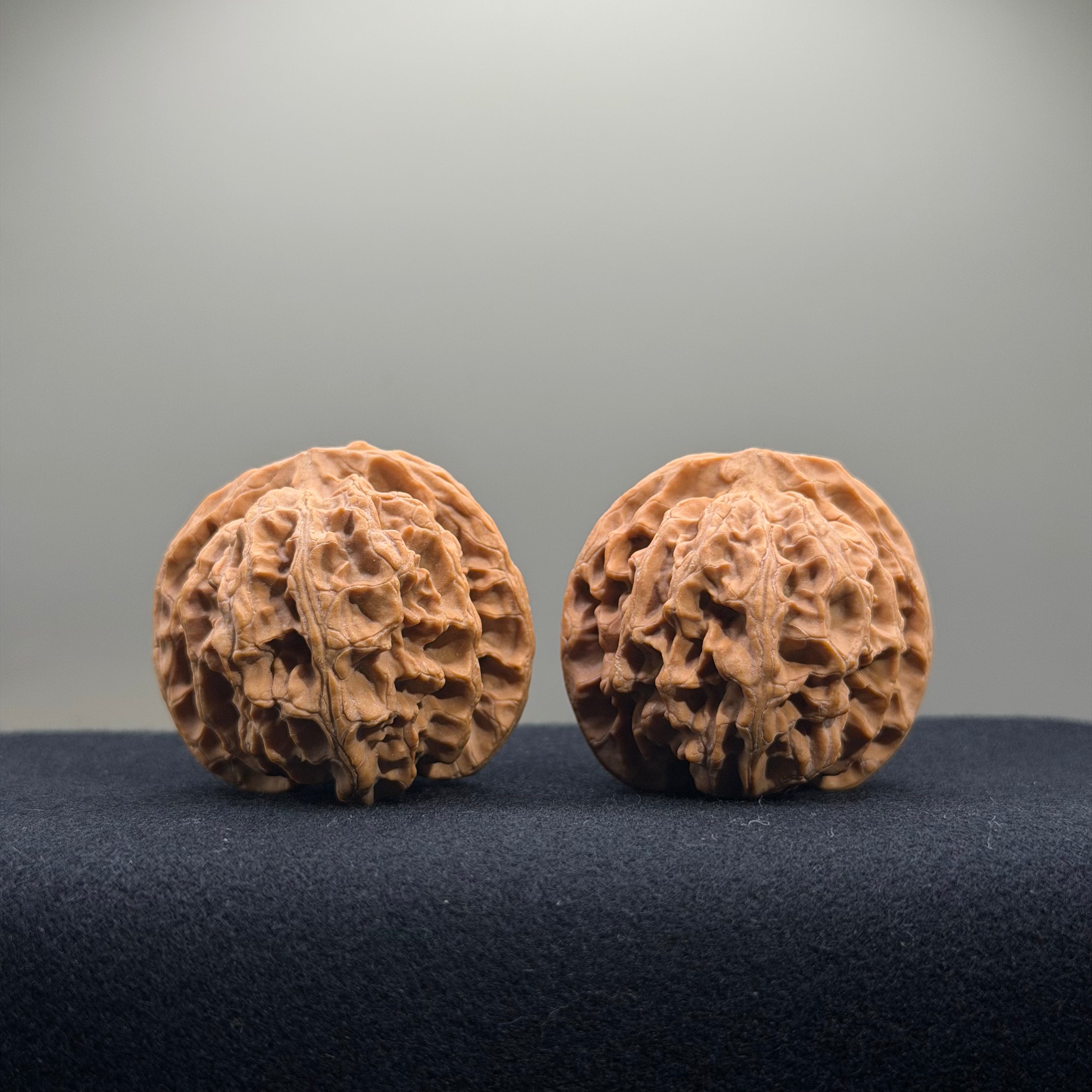 Apple Orchard Wenwan Walnut · 41mm · Natural · Select Ritual