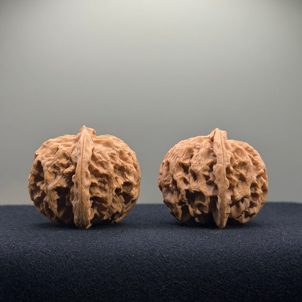 Apple Orchard Wenwan Walnut · 41mm · Natural · Select Ritual