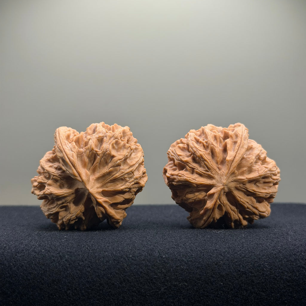 Apple Orchard Wenwan Walnut · 41mm · Natural · Select Ritual