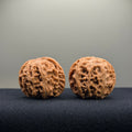 Apple Orchard Wenwan Walnut · 38mm · Natural · Select Ritual