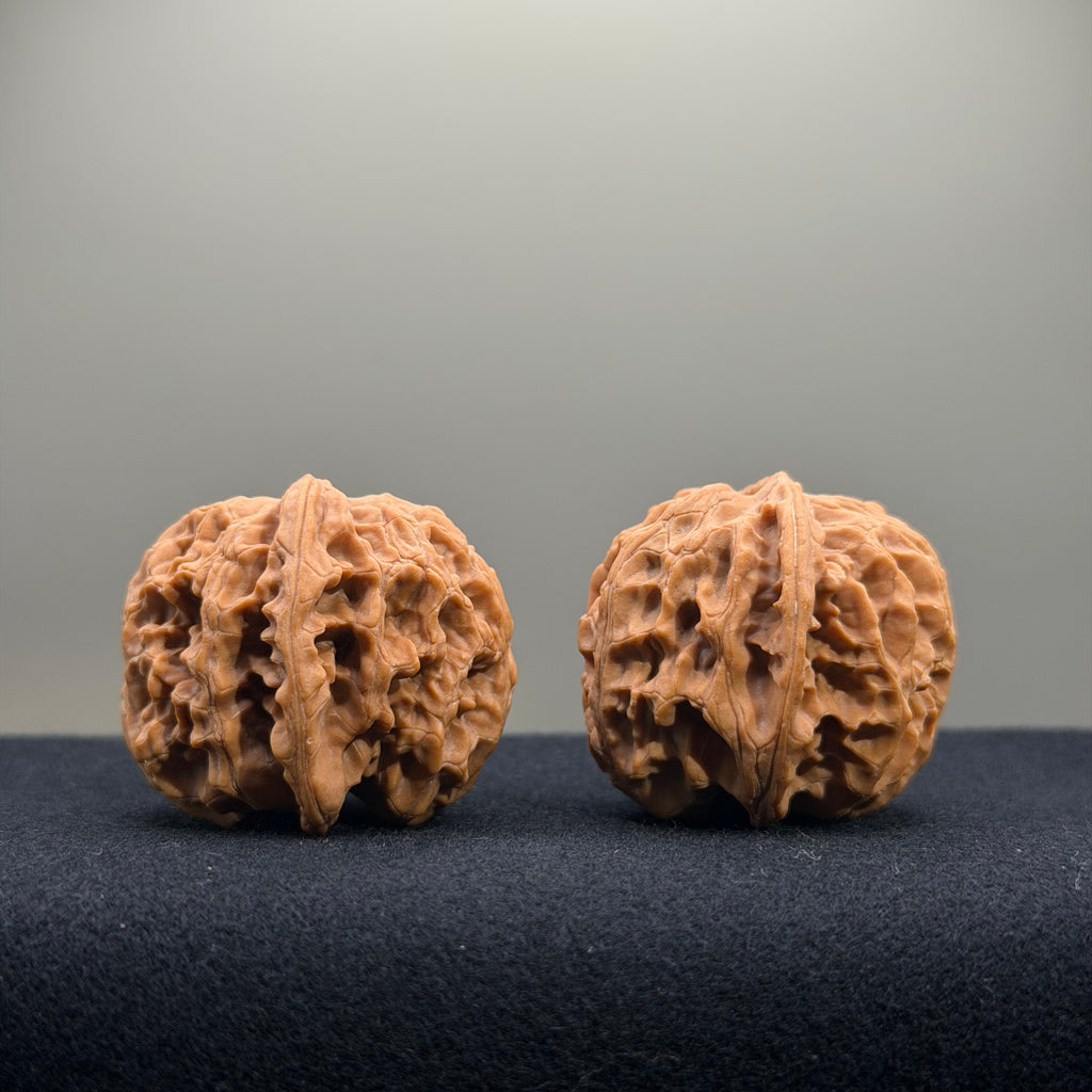 Apple Orchard Wenwan Walnut · 38mm · Natural · Select Ritual