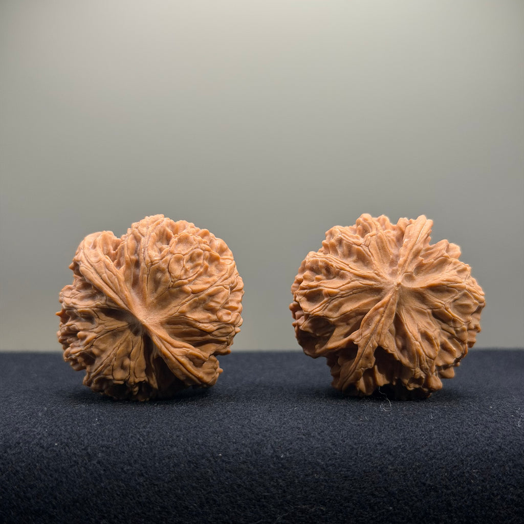 Apple Orchard Wenwan Walnut · 38mm · Natural · Select Ritual