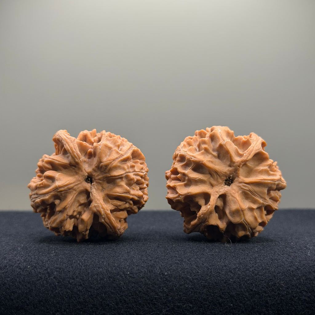Apple Orchard Wenwan Walnut · 38mm · Natural · Select Ritual