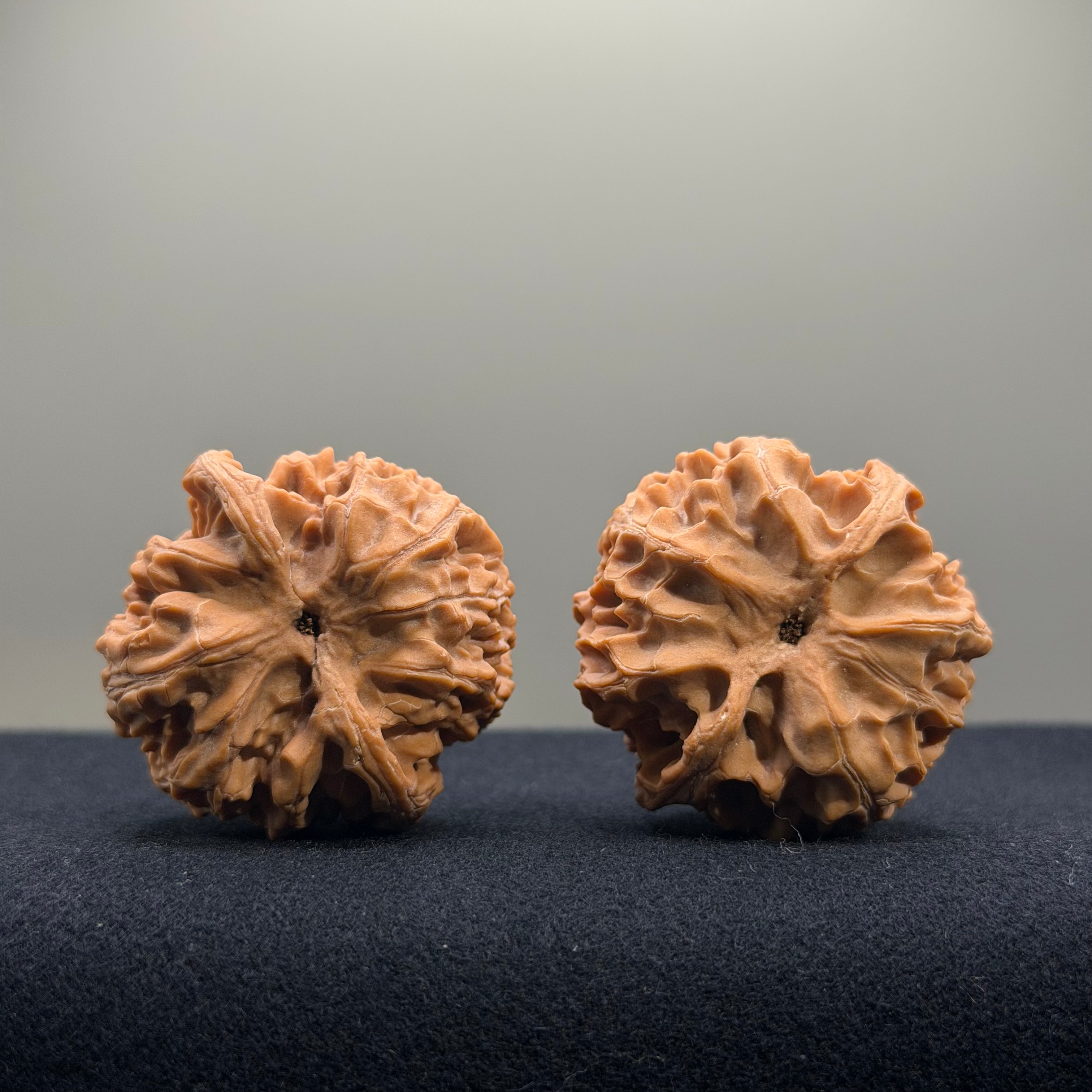 Apple Orchard Wenwan Walnut · 38mm · Natural · Select Ritual