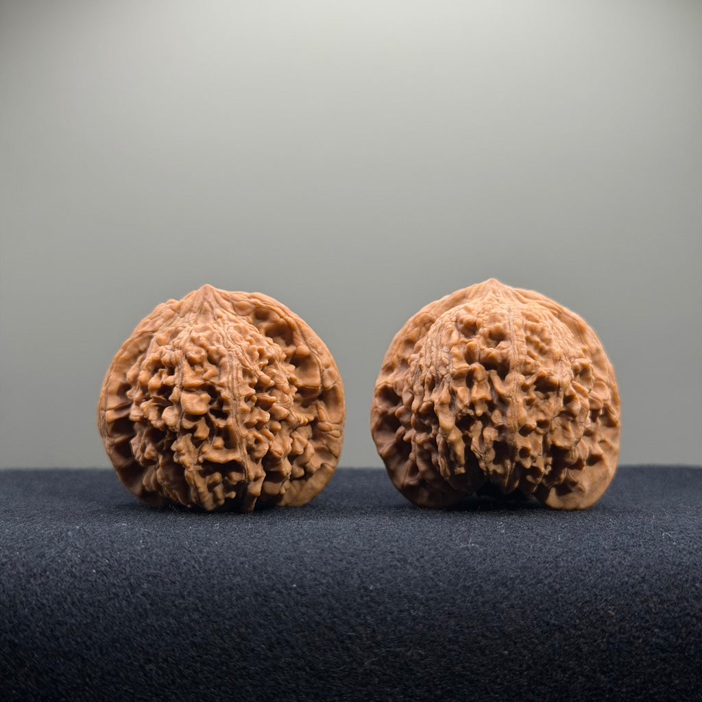 Starry Sky Wenwan Walnut · 40mm · Natural · Entry Ritual