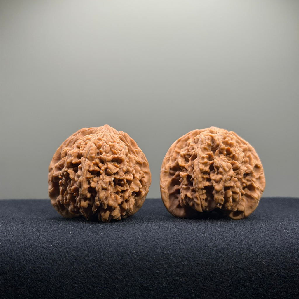 Starry Sky Wenwan Walnut · 40mm · Natural · Entry Ritual
